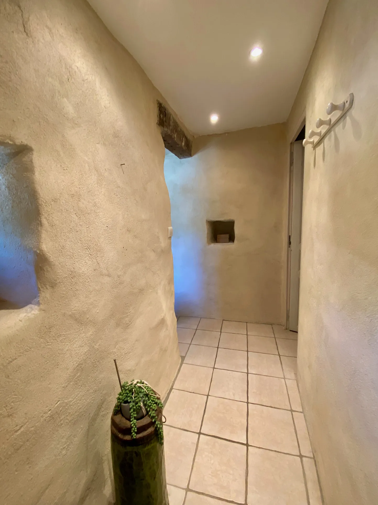 Maison en pierre avec studio indépendant, piscine à Vesseaux, vue dominante 