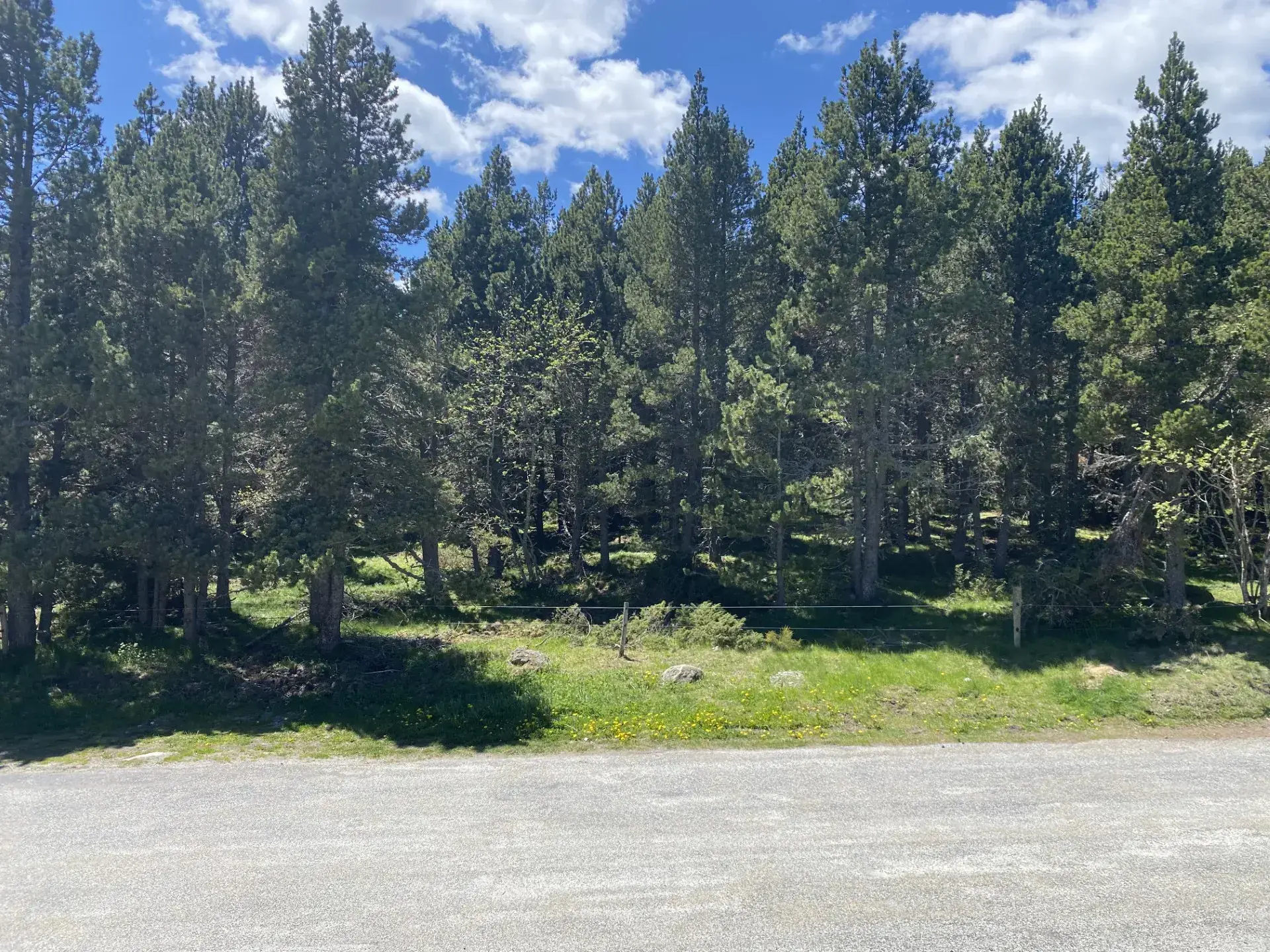 Appartement T3 avec studio indépendant à Bolquère – Calme et proximité forêt 