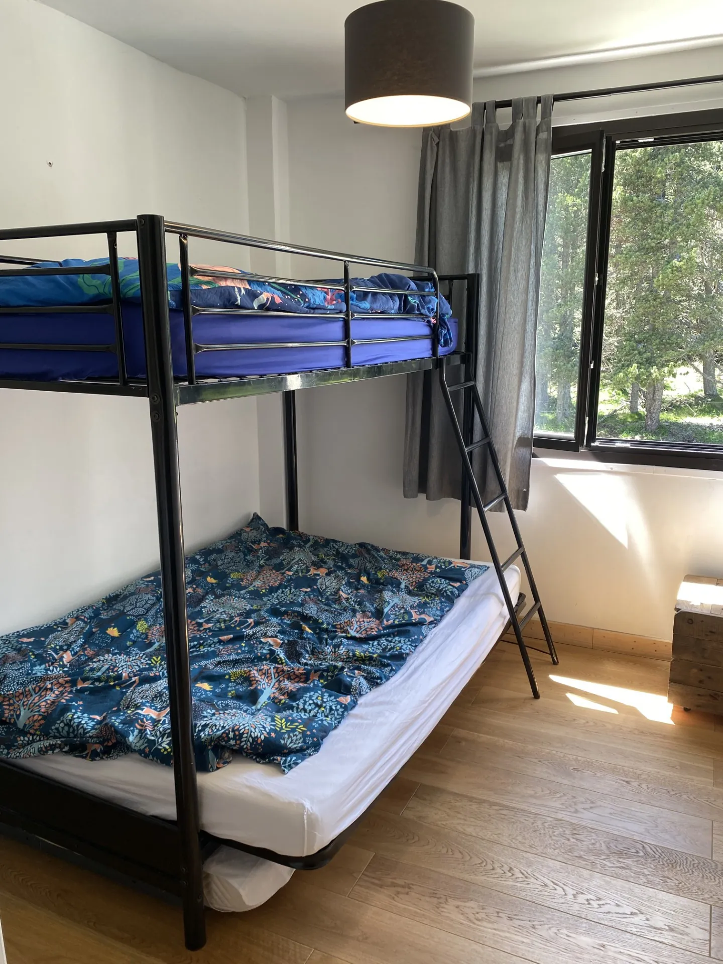 Appartement T3 avec studio indépendant à Bolquère – Calme et proximité forêt 