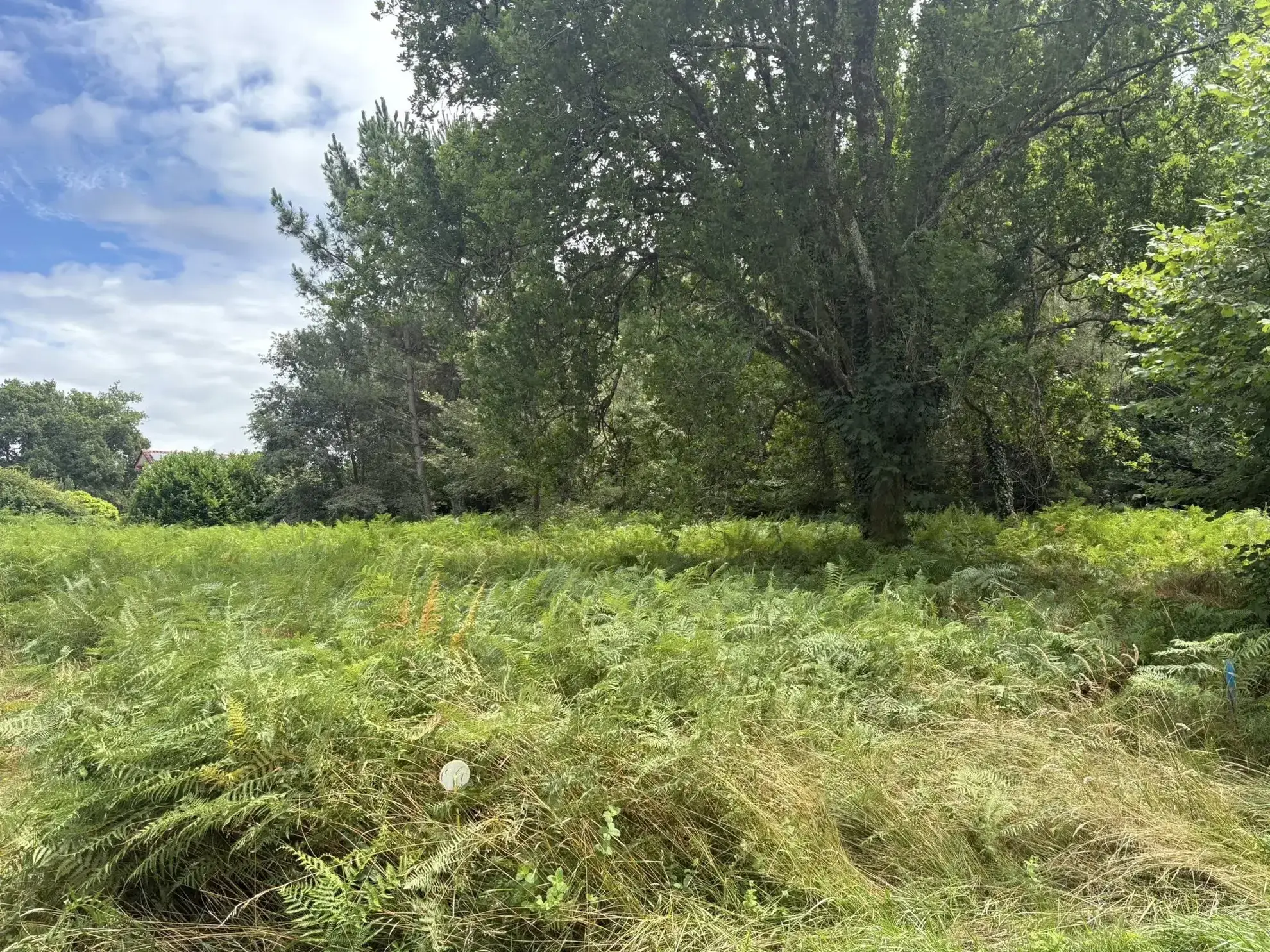 Terrain constructible à Pouydesseaux à vendre, environnement calme et proche Mont-de-Marsan