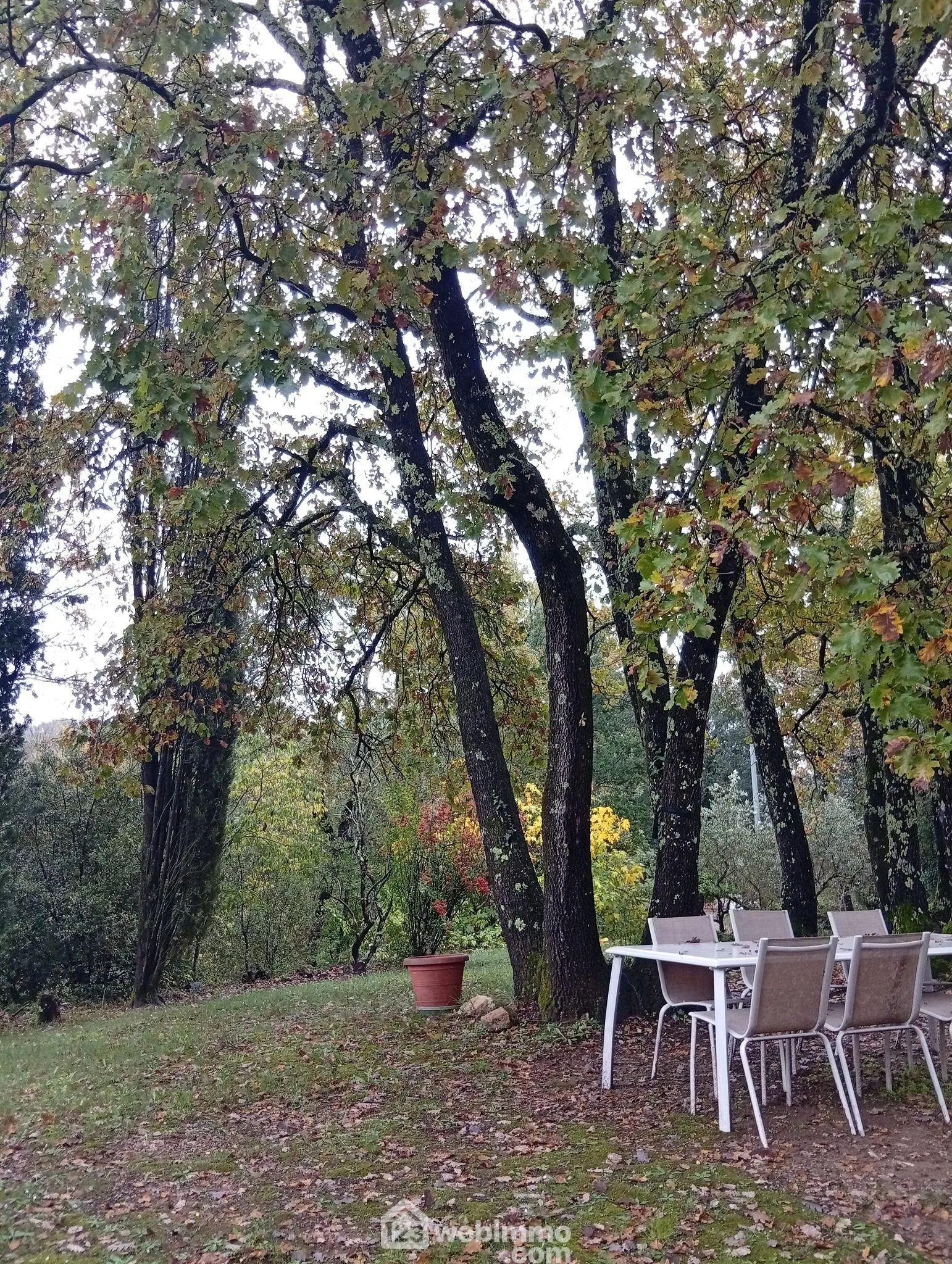 Charmante maison de plain-pied de 80 m² à Entrecastaux avec grand terrain 