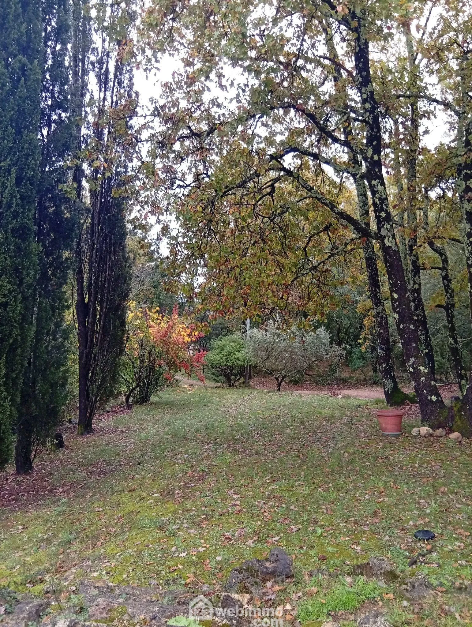 Charmante maison de plain-pied de 80 m² à Entrecastaux avec grand terrain 