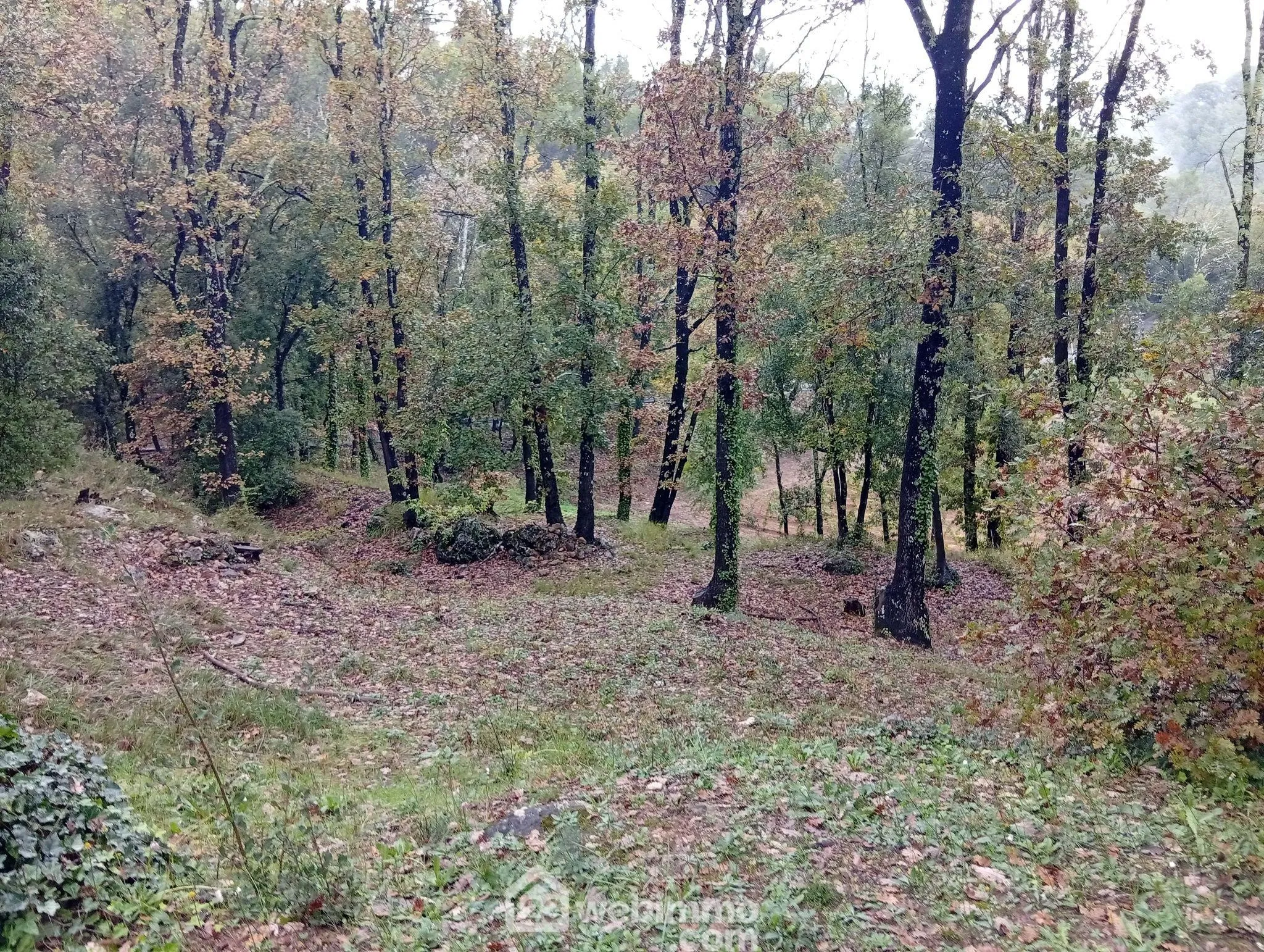 Charmante maison de plain-pied de 80 m² à Entrecastaux avec grand terrain 