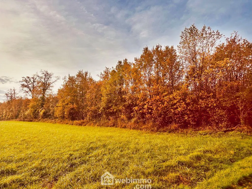 Terrain non constructible de 12 718 m² à Celle-Lévescault, parfait pour bois de chauffage et exploitation rurale