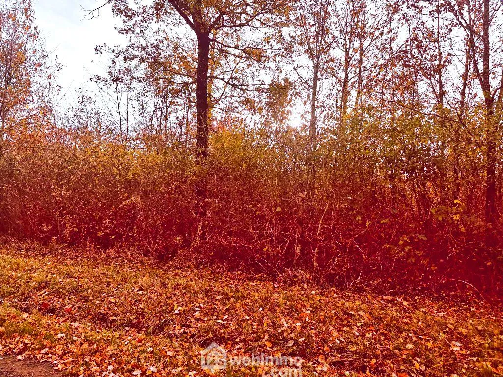 Terrain non constructible de 12 718 m² à Celle-Lévescault, parfait pour bois de chauffage et exploitation rurale 