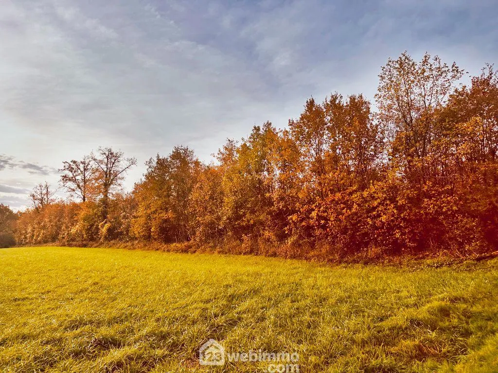 Terrain non constructible de 12 718 m² à Celle-Lévescault, parfait pour bois de chauffage et exploitation rurale 