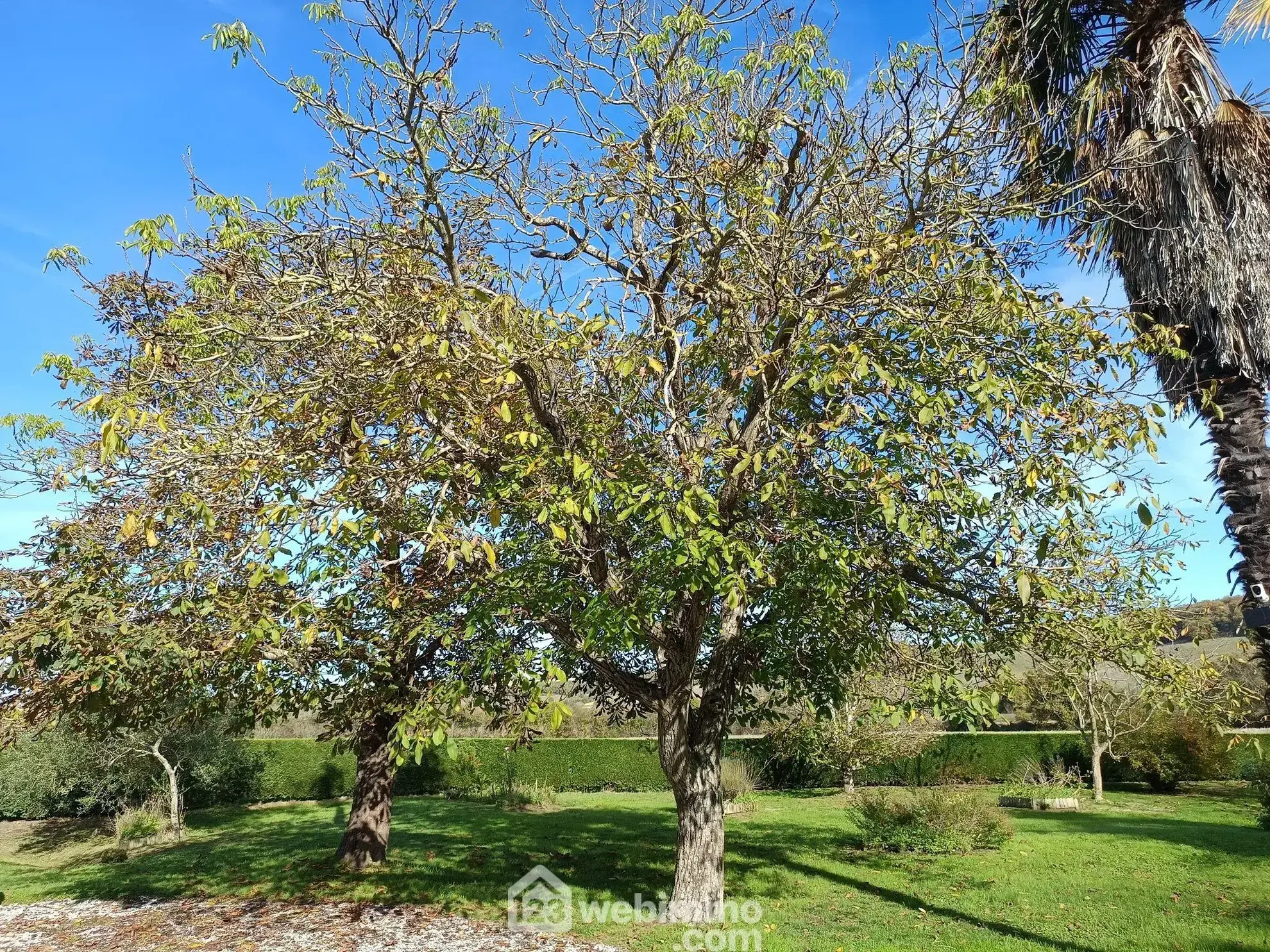 Maison de campagne avec terrain à Saint-Jean-Poutge, 240 m² 