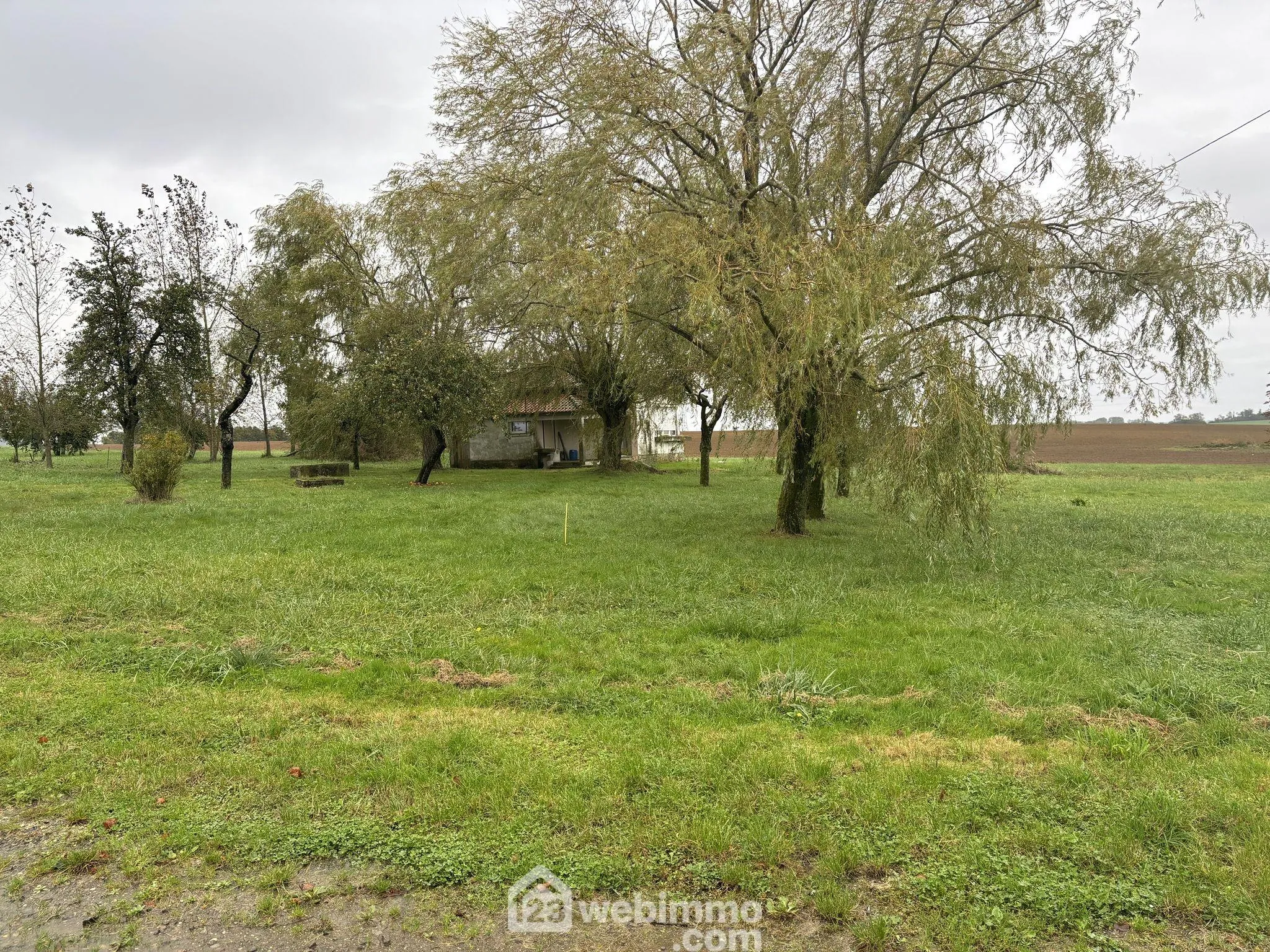 Corps de ferme avec maison, grange et terrain à Étain - 165 m² 