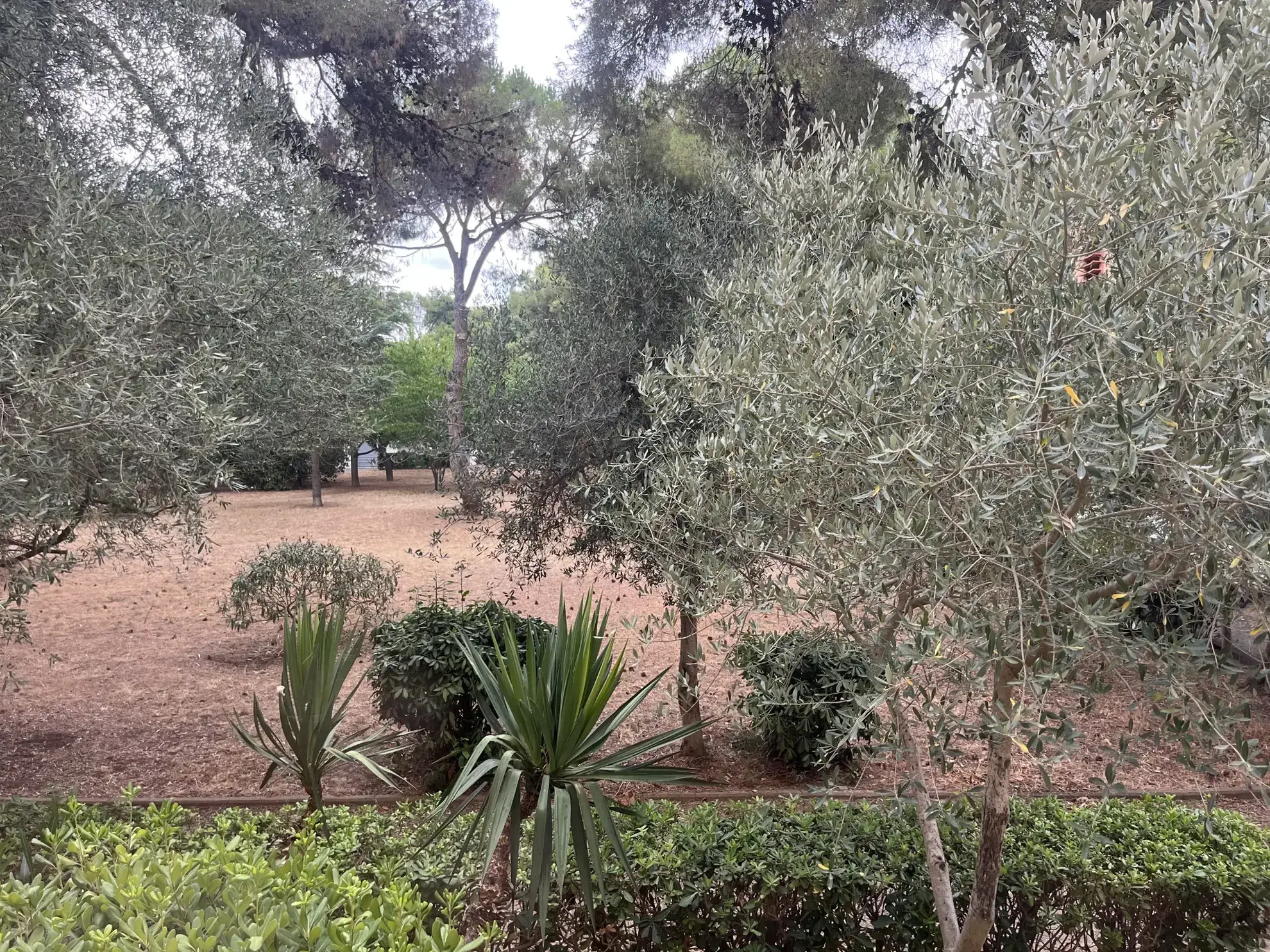 Appartement T2 rénové avec parking et cave à Sète dans le quartier Triolet 