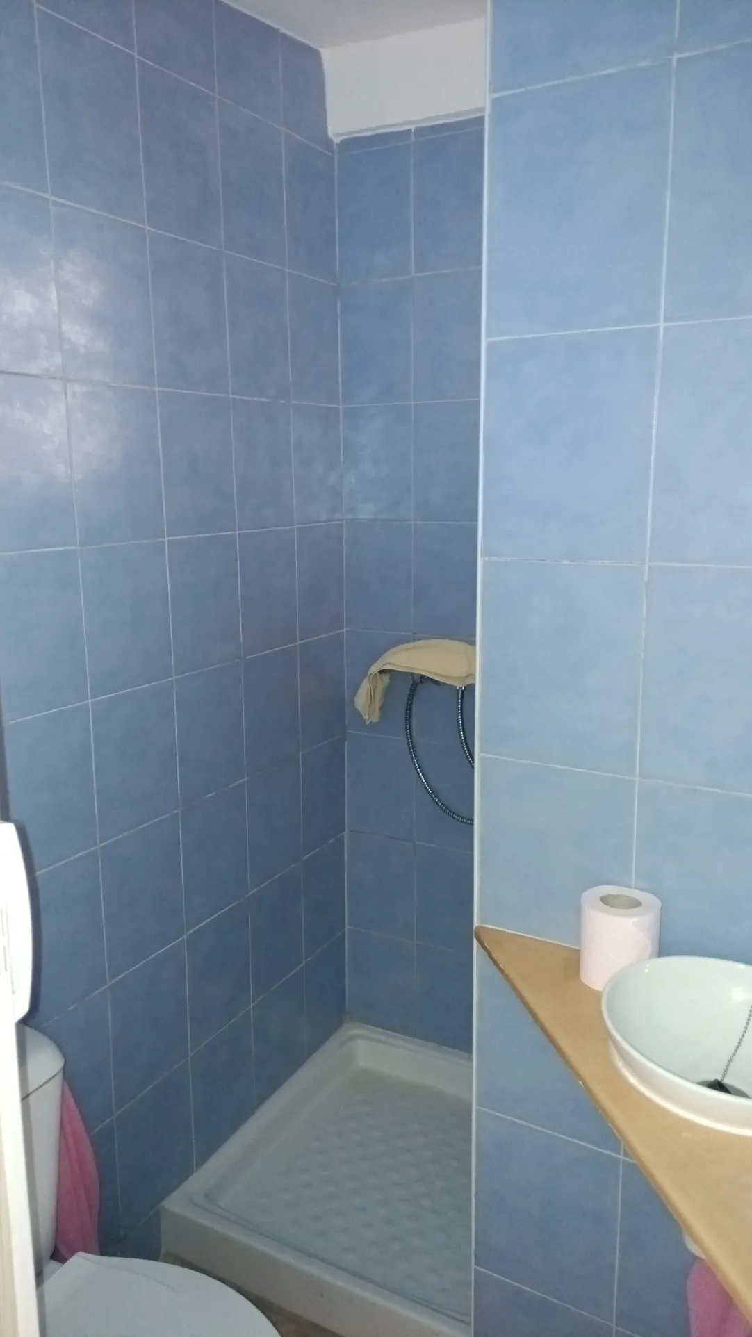 Maison F2 avec appartement à vendre à Prats-de-Mollo-La-Preste (66) 