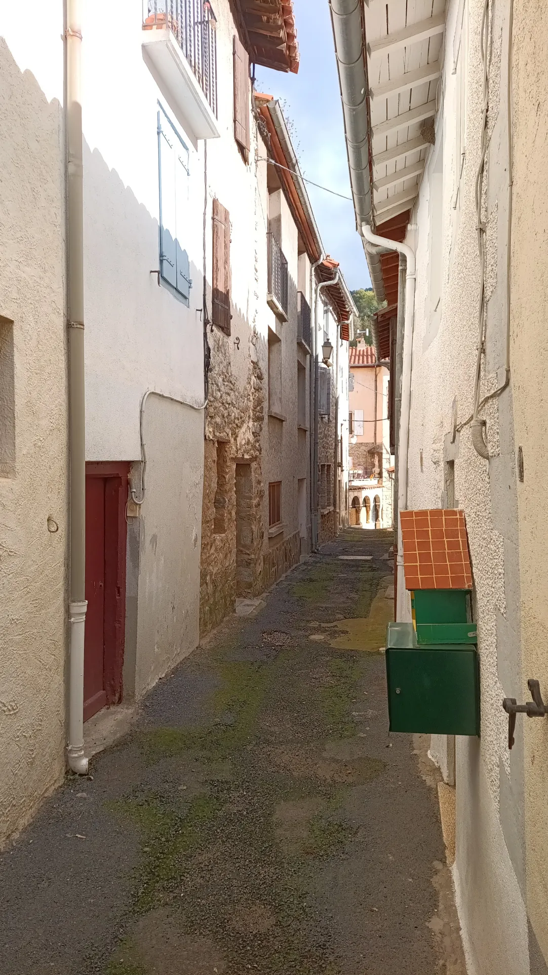 Maison F2 avec appartement à vendre à Prats-de-Mollo-La-Preste (66) 