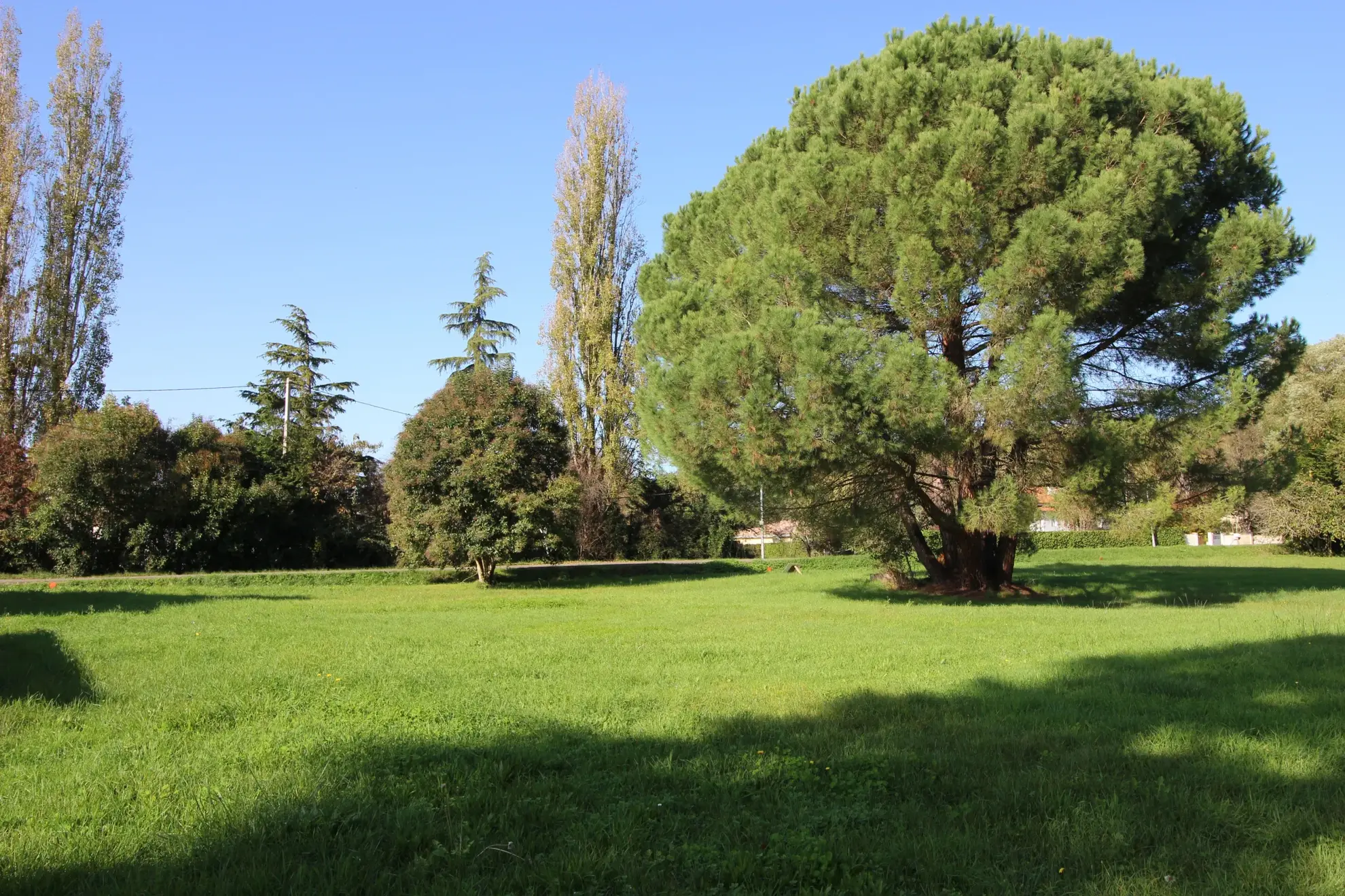 Terrain constructible de 1129 m² à Montauban Sud, quartier du Carreyrat