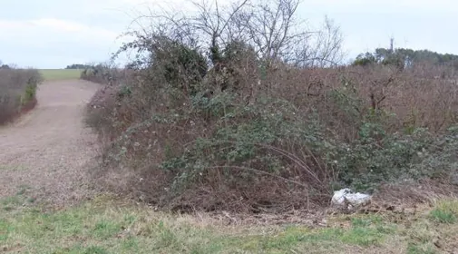 Terrain agricole en vente aux enchères à Talant, 15986 m² pour 2000 € 