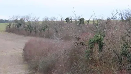 Terrain agricole en vente aux enchères à Talant, 15986 m² pour 2000 € 