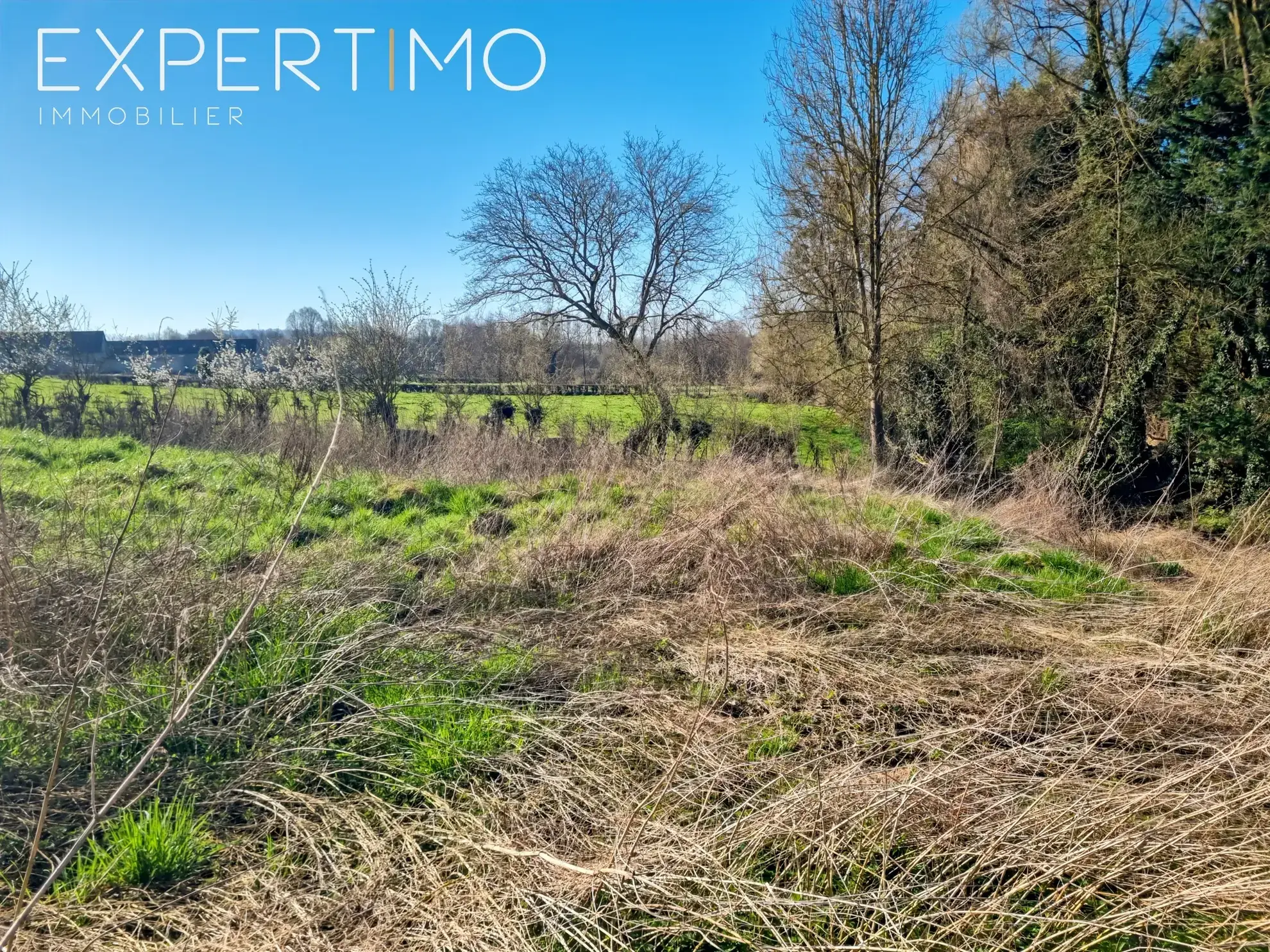 Maison à vendre à Saint-Riquier-en-Rivière de 250 m² sur 6214 m² 