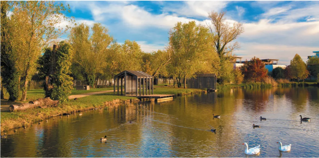 Appartement 3 pièces avec parking à Sainte Catherine - Livraison 2027