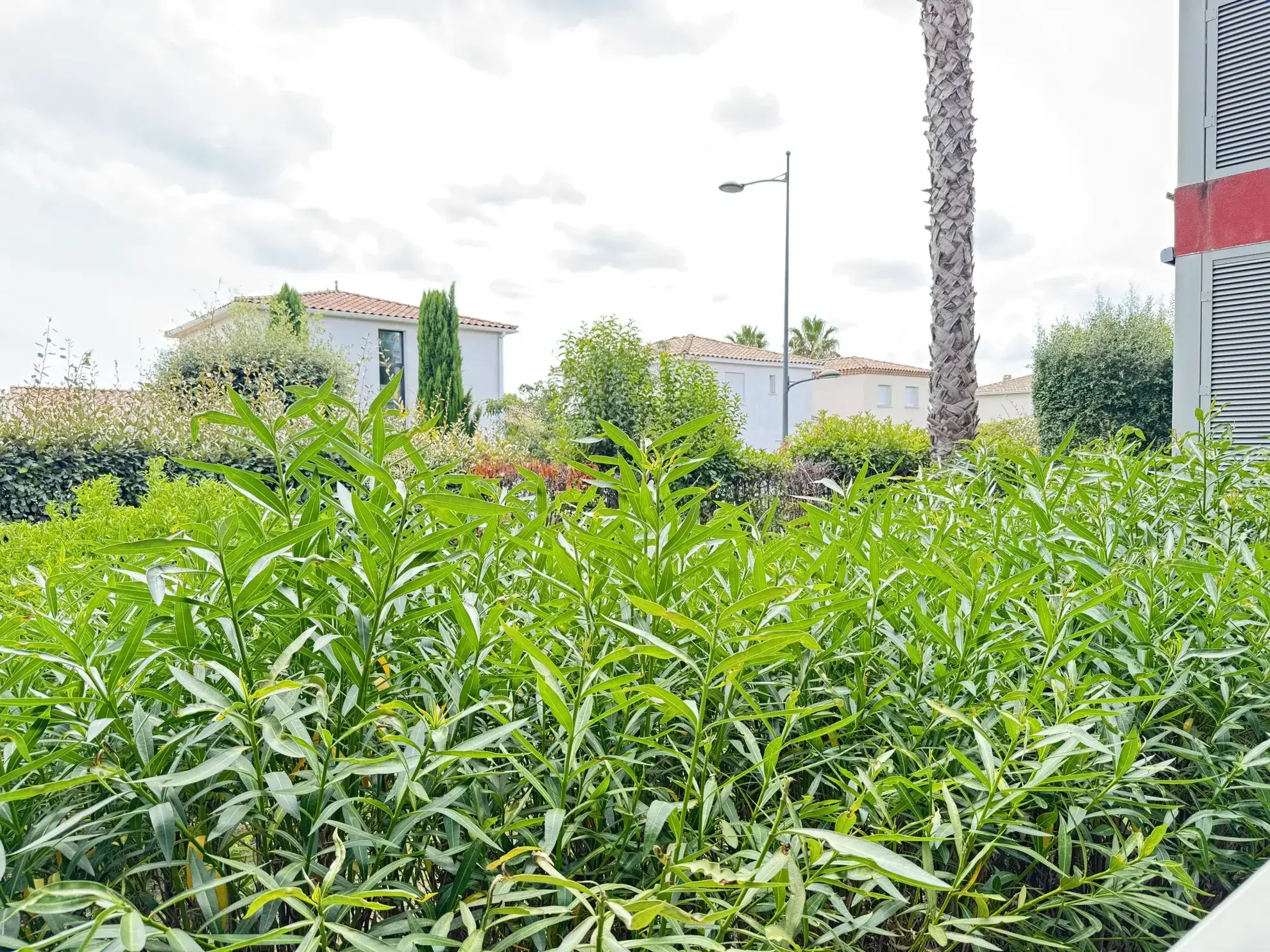 Appartement T2 de 48 m² avec terrasse, parking et piscine à Mauguio 