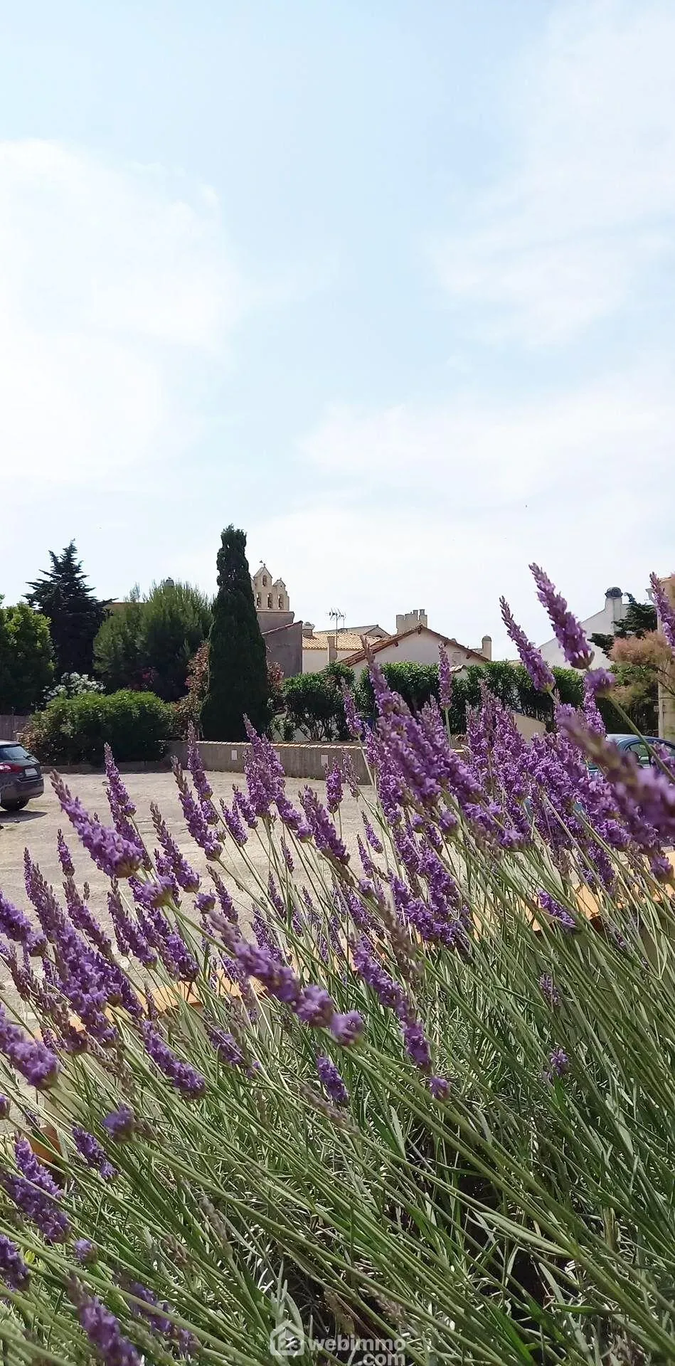 Studio de 26m² à Saintes-Maries-de-la-Mer, idéal pour vacances ou investissement 