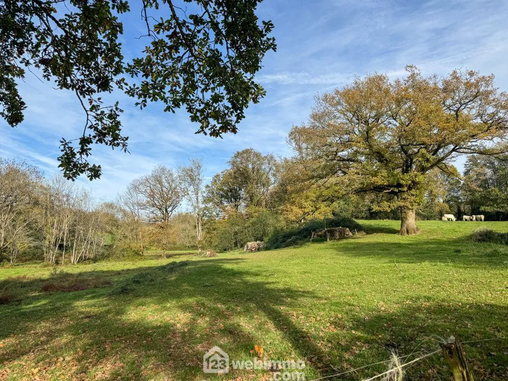 Maison en pierre à Sèvremont 185 m² à rénover pour investisseurs ou rénovateurs 