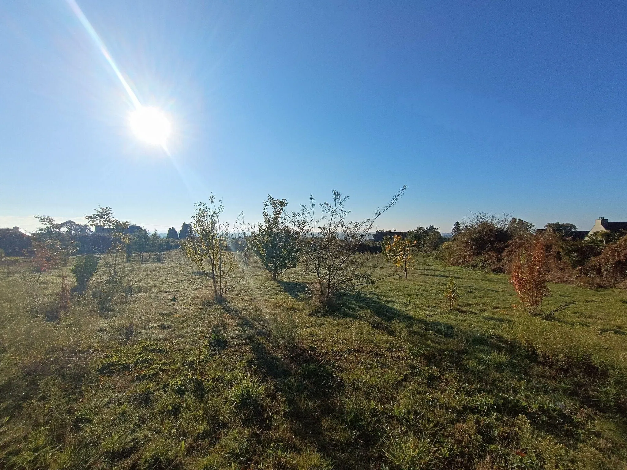 Charmante maison rénovée de 100 m² avec grand terrain à Pleumeur-Gautier 