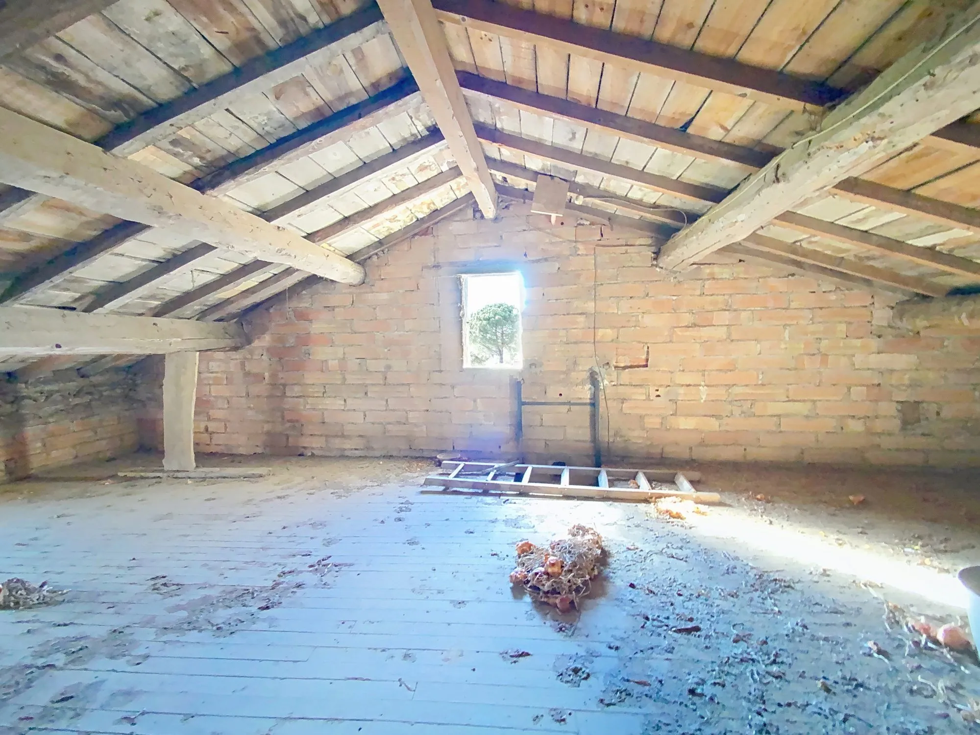 Ancienne ferme à rénover à Albi avec grand potentiel de 140 m² 