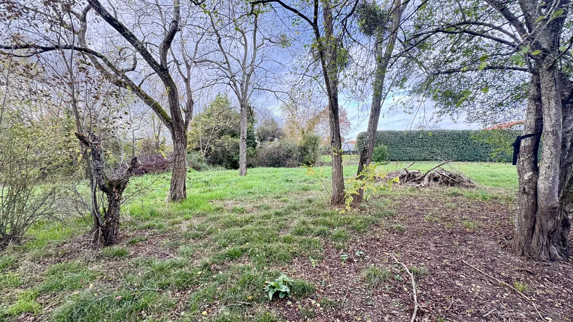 Terrain constructible de 1009 m² à Montberon, environnement calme et résidentiel 
