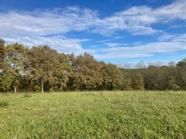 Maison neuve moderne avec 3 chambres et terrasse à Horsarrieu, Landes