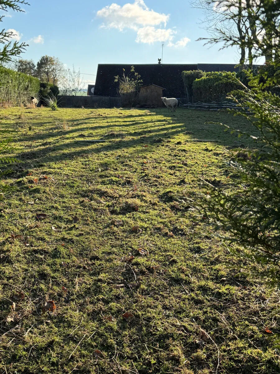 Terrain à bâtir de 600 m² à Gerville, hors lotissement, idéal pour votre projet immobilier