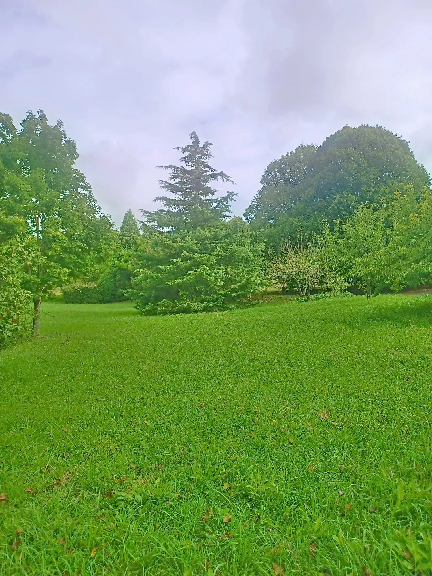 Maison de 144 m² avec grand jardin et vue campagne à Lautrec 