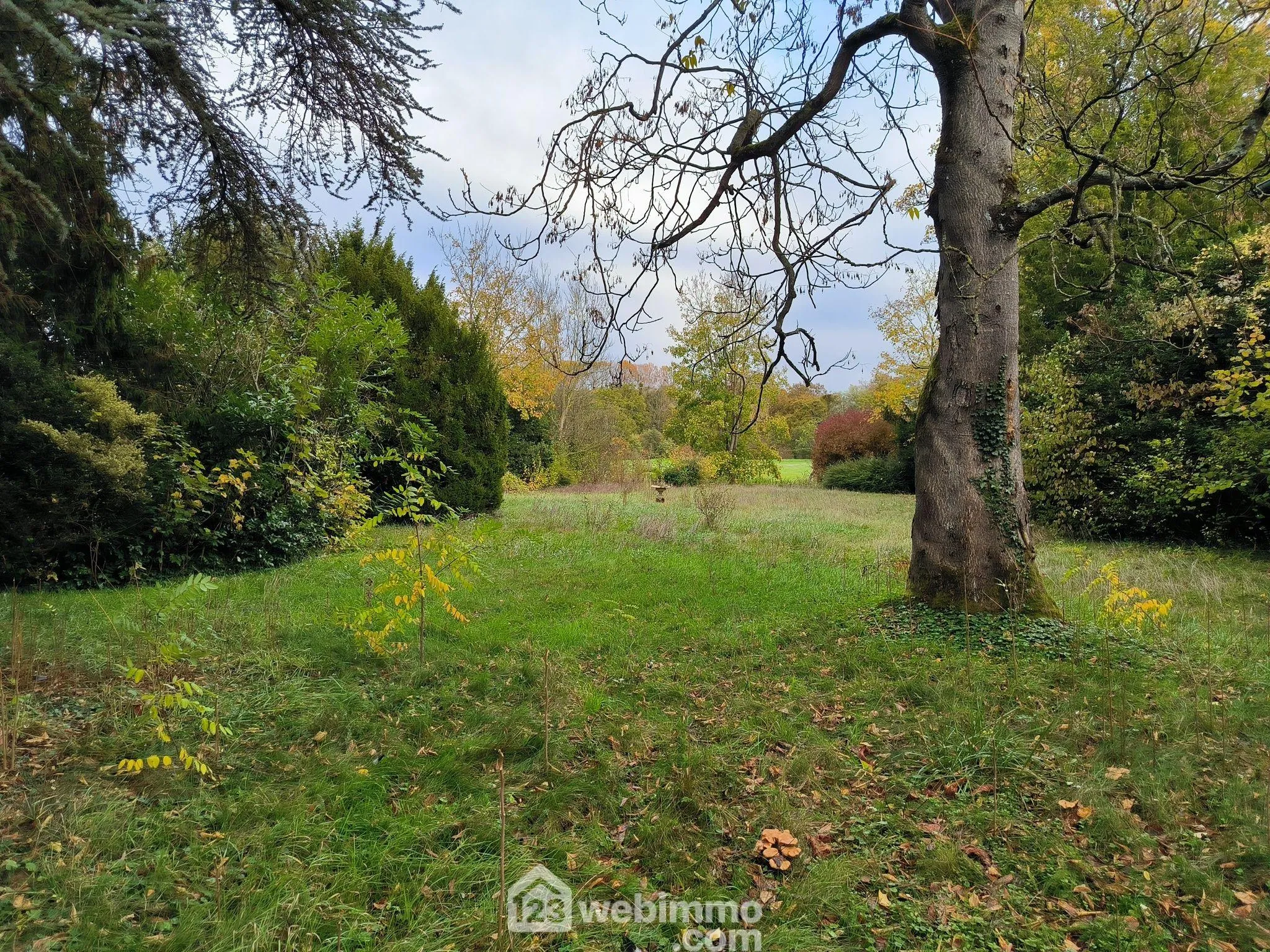 Longère à rénover de 222 m² avec dépendance et terrain arboré à Braine 