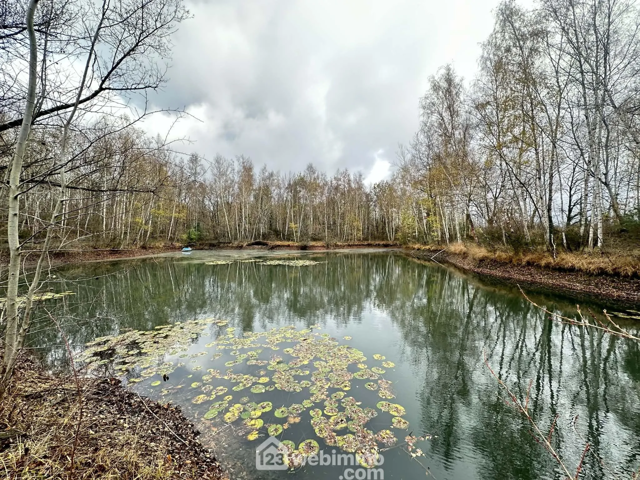 Magnifique terrain de loisirs avec étang à Étouvelles - 10 450 m²
