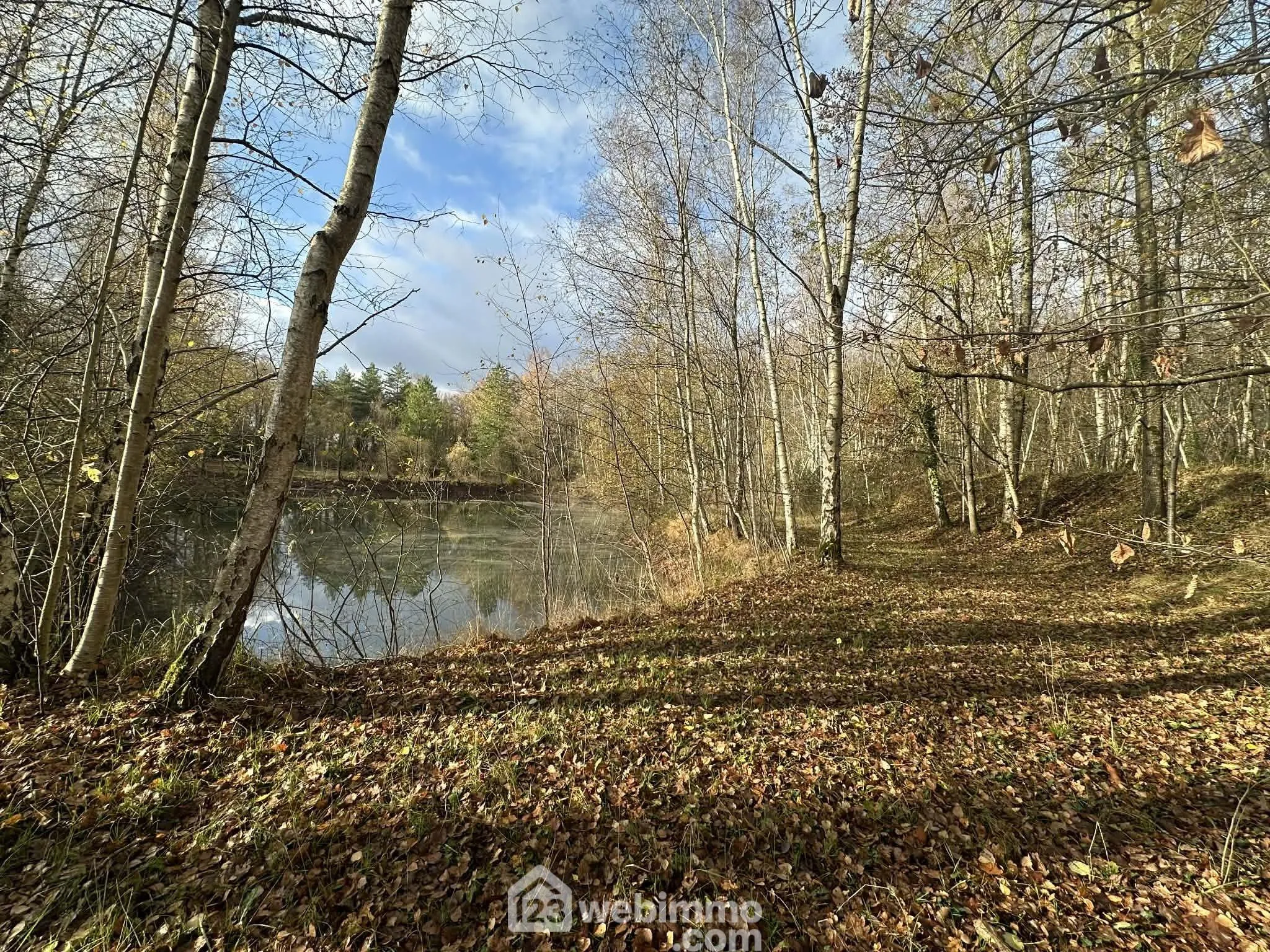 Magnifique terrain de loisirs avec étang à Étouvelles - 10 450 m² 