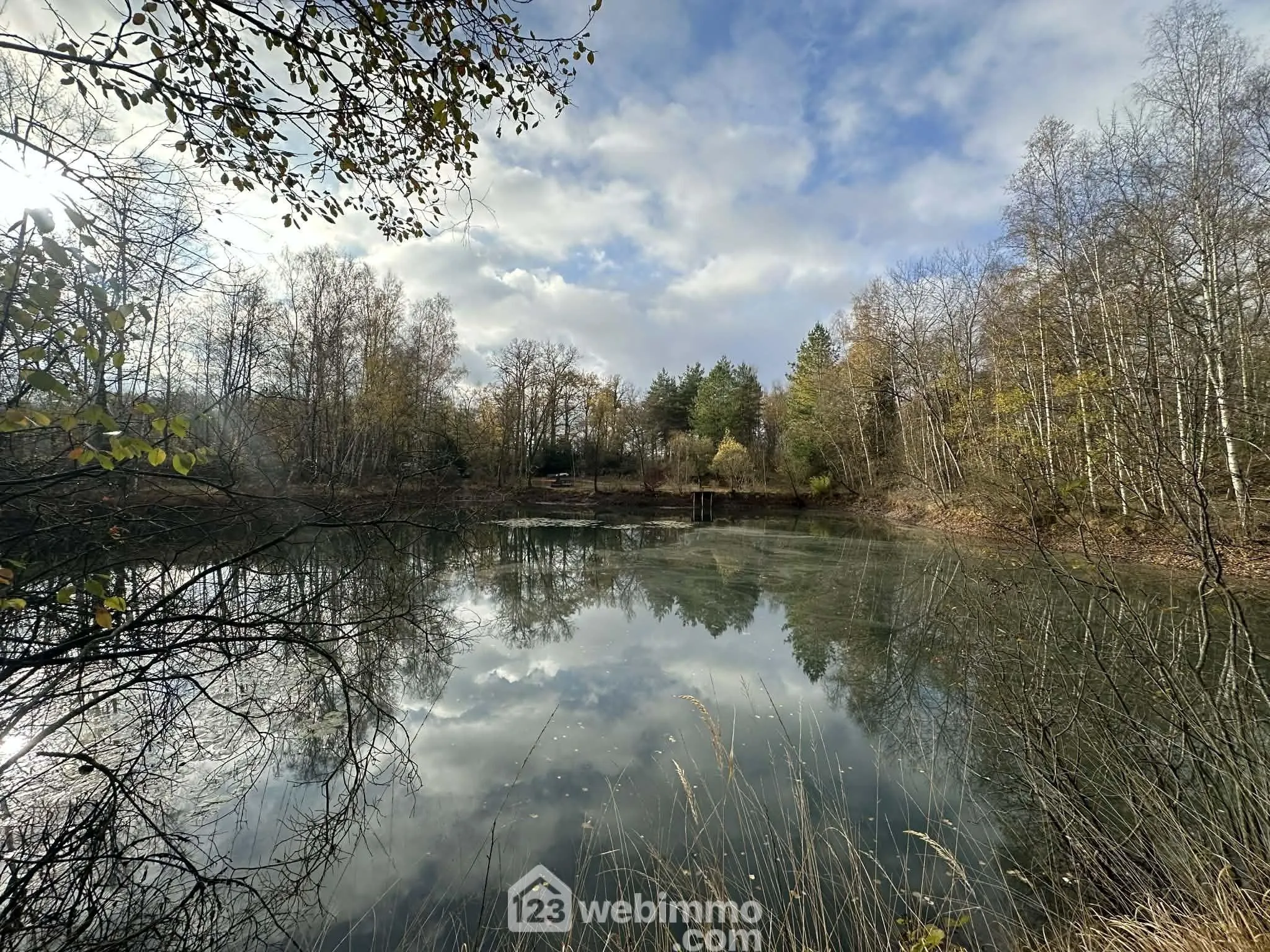 Magnifique terrain de loisirs avec étang à Étouvelles - 10 450 m² 