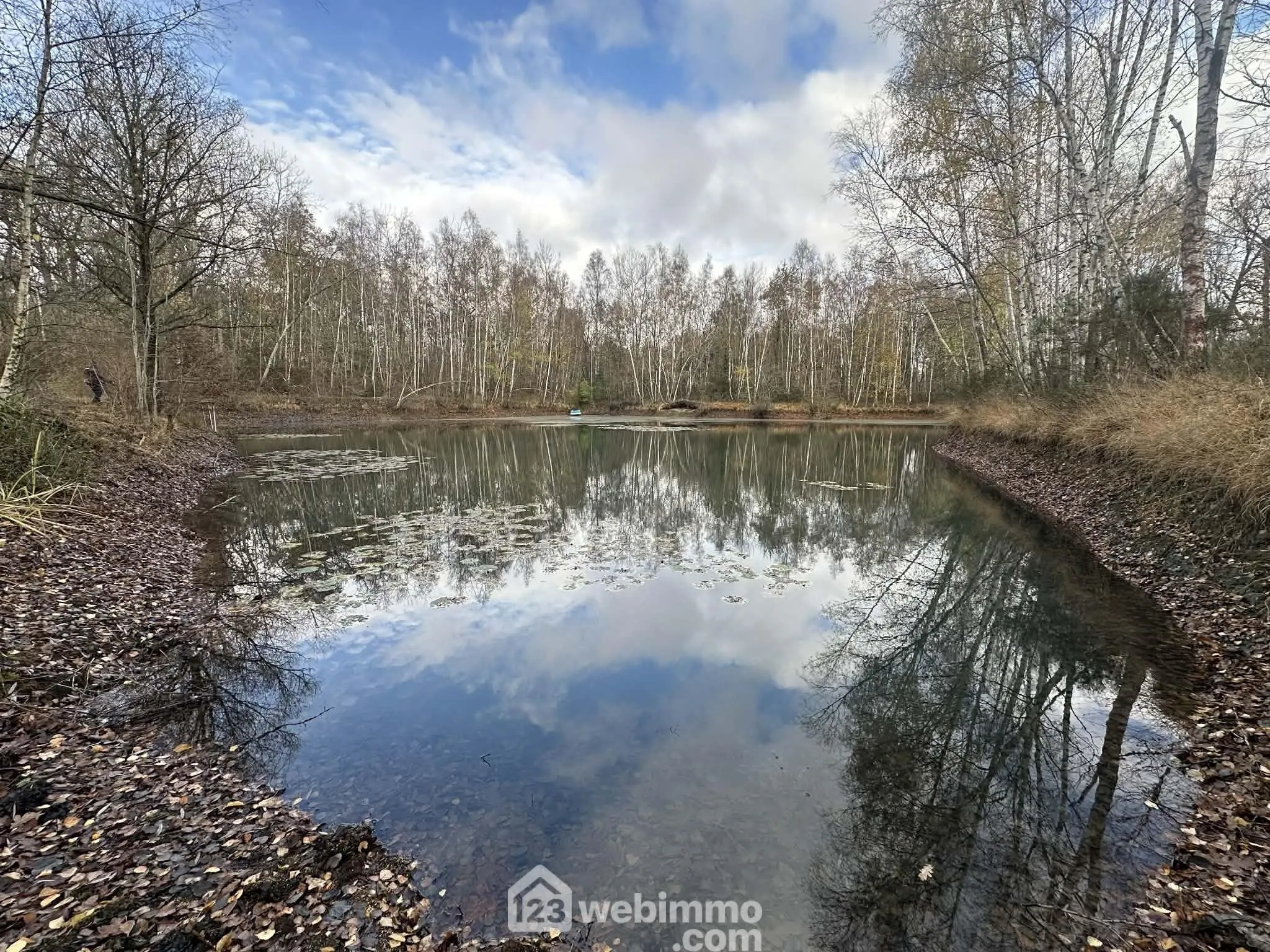 Magnifique terrain de loisirs avec étang à Étouvelles - 10 450 m² 