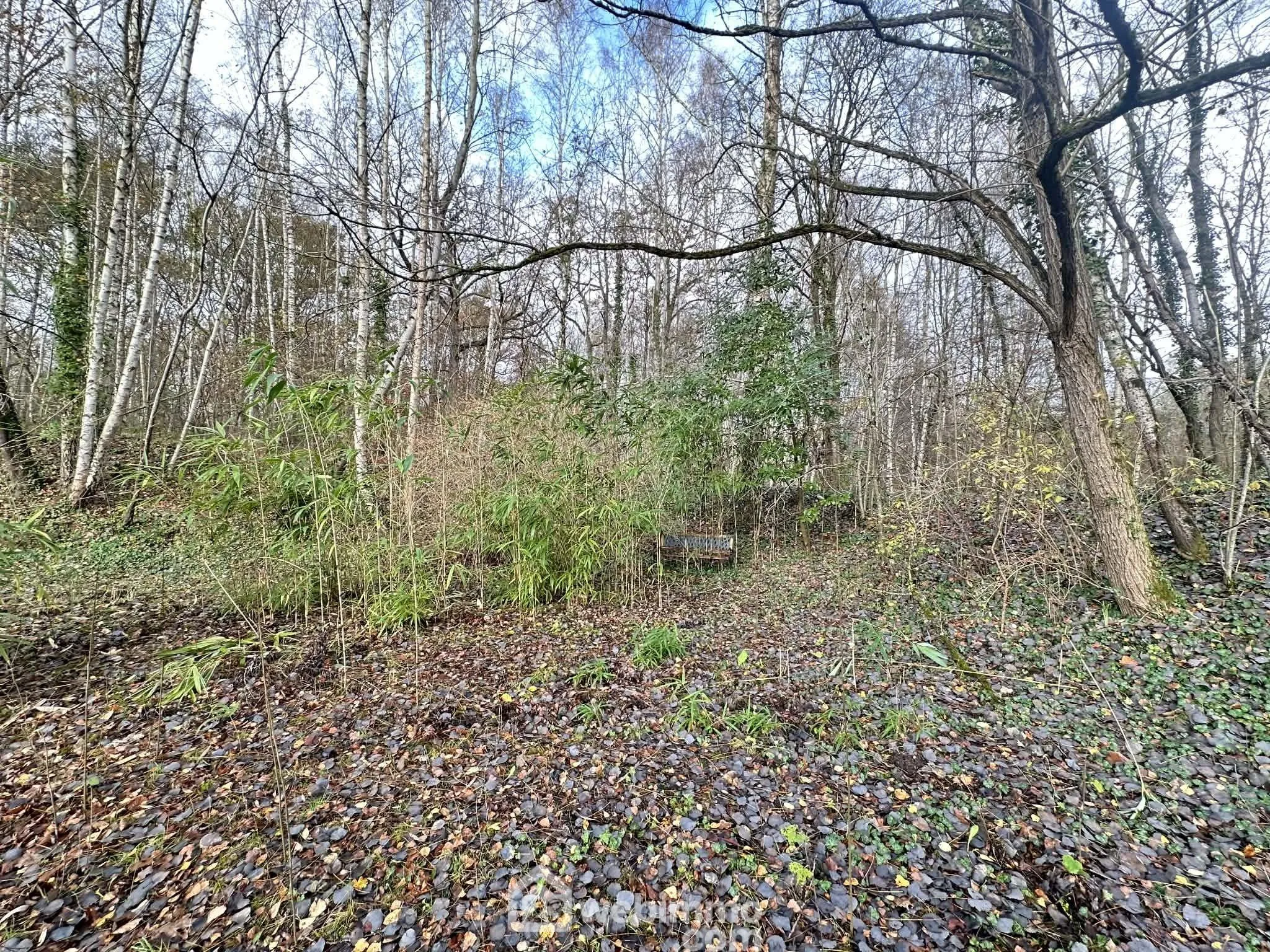 Magnifique terrain de loisirs avec étang à Étouvelles - 10 450 m² 