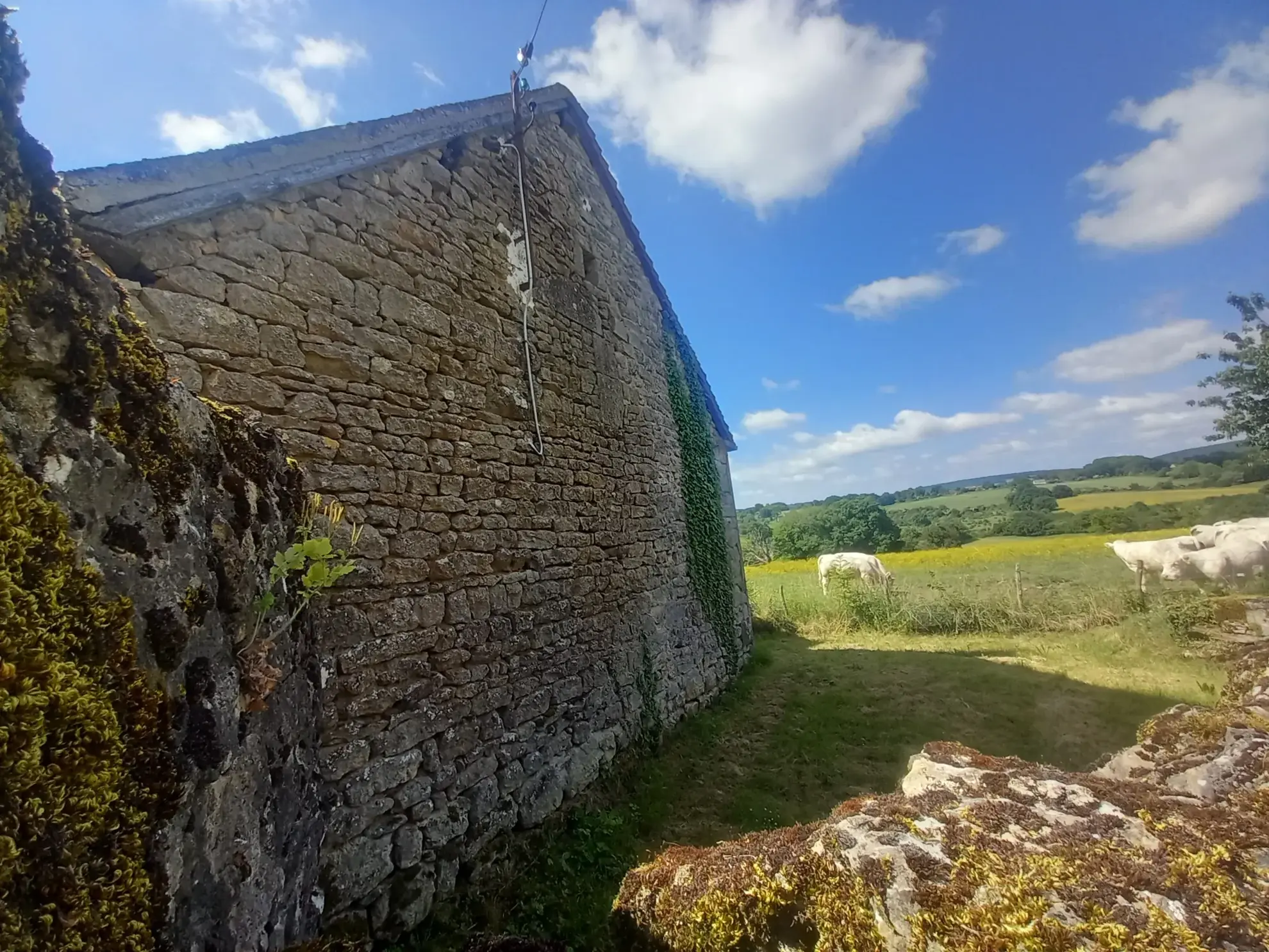 Fermette authentique à Lurcy-le-Bourg avec potentiel et vue panoramique 
