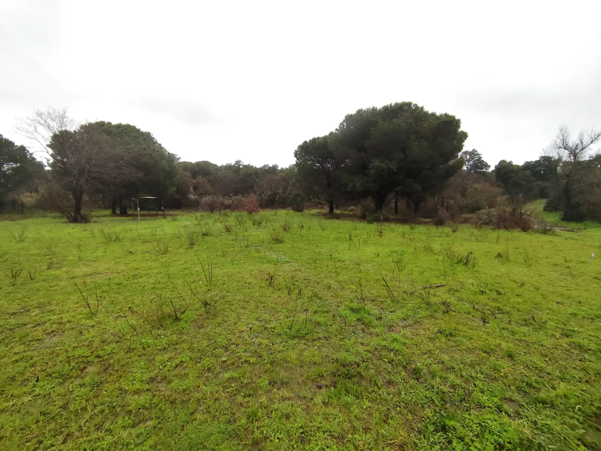 Terrain agricole de 5200 m² à vendre à Argelès-sur-Mer, non constructible