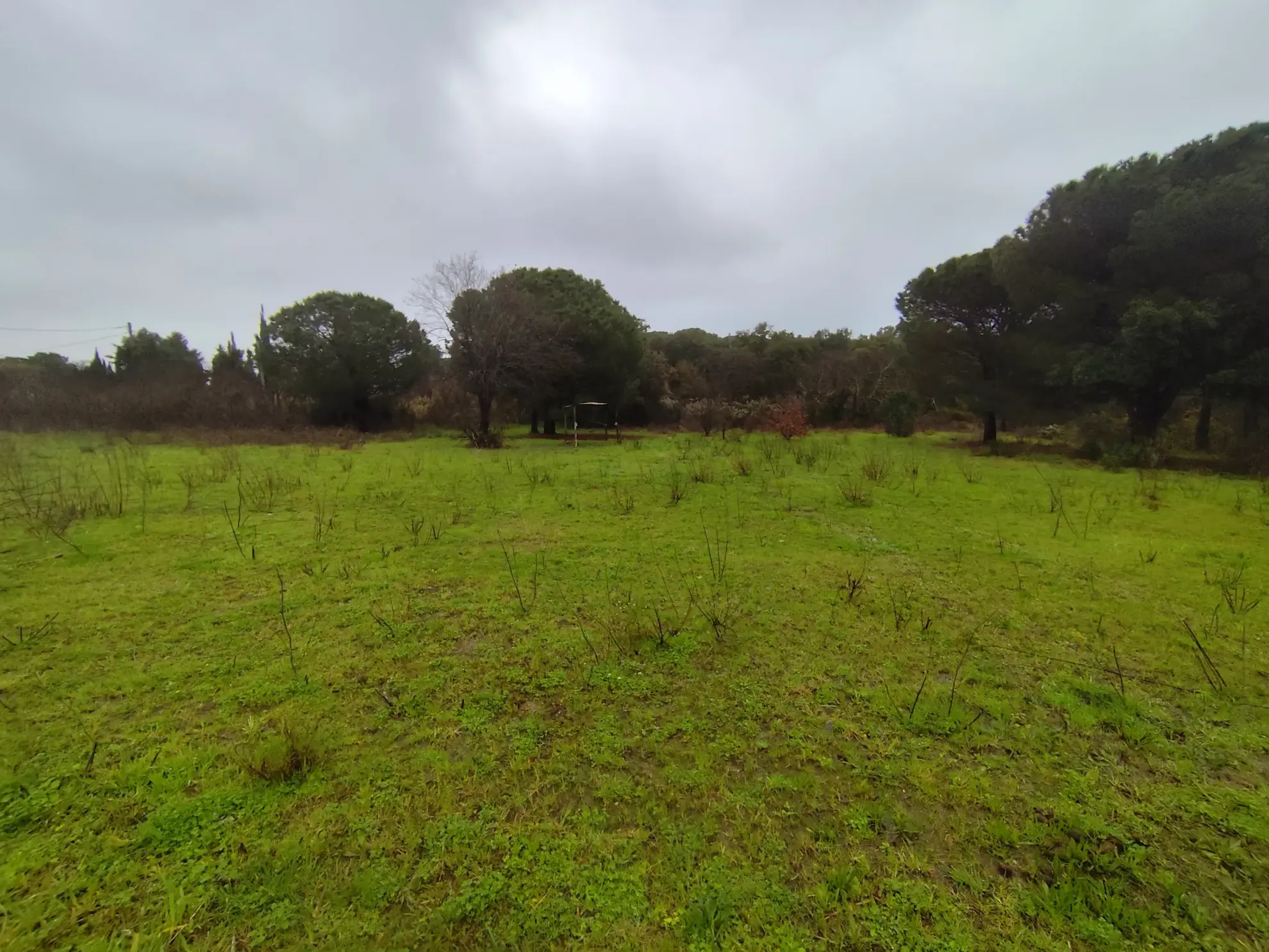 Terrain agricole de 5200 m² à vendre à Argelès-sur-Mer, non constructible 