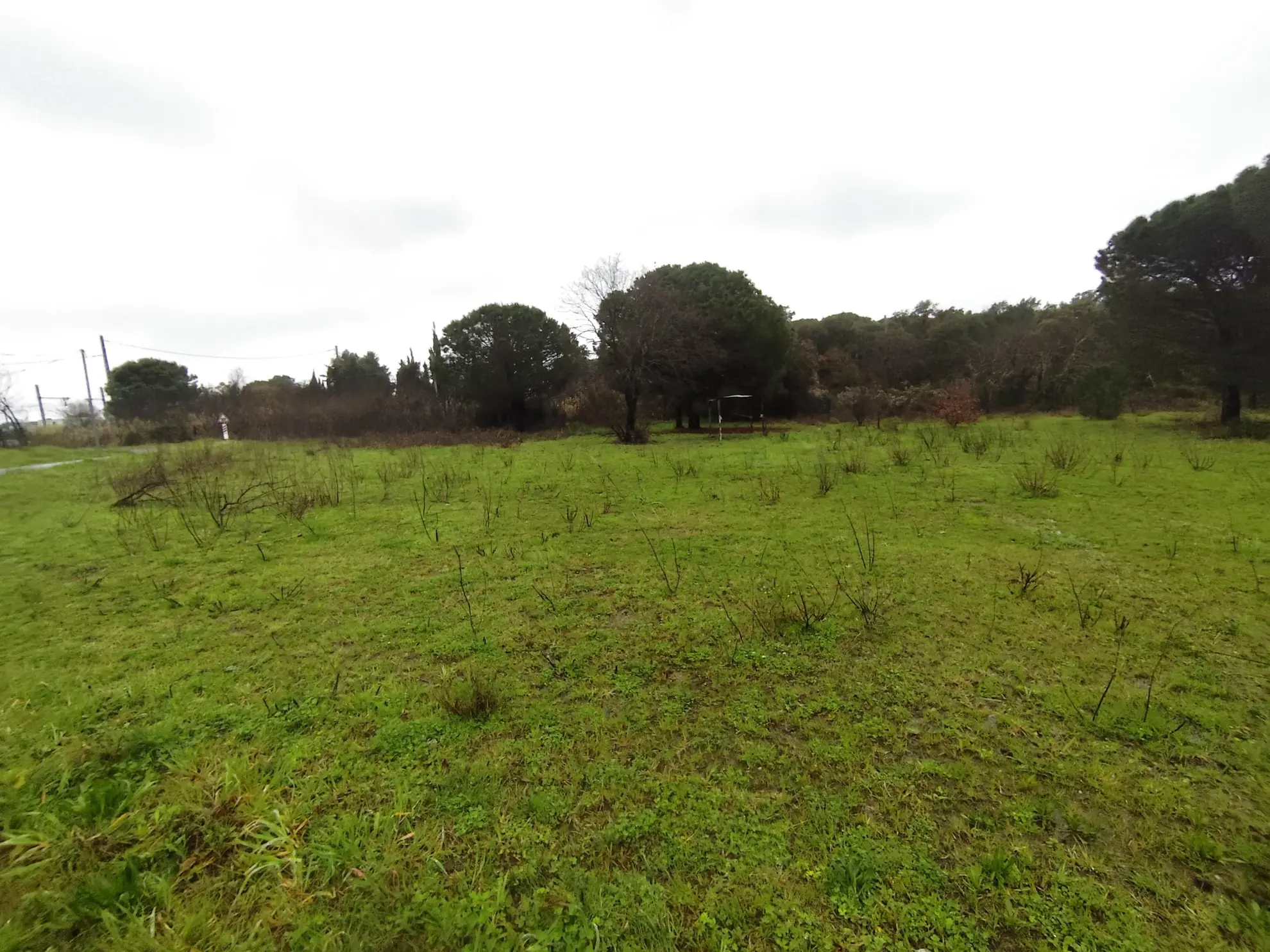 Terrain agricole de 5200 m² à vendre à Argelès-sur-Mer, non constructible 