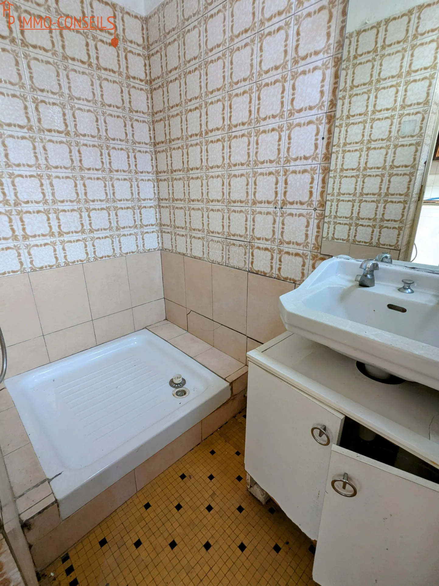 Maison de ville à rénover en hyper-centre de Nort-sur-Erdre - Terrain et dépendance 