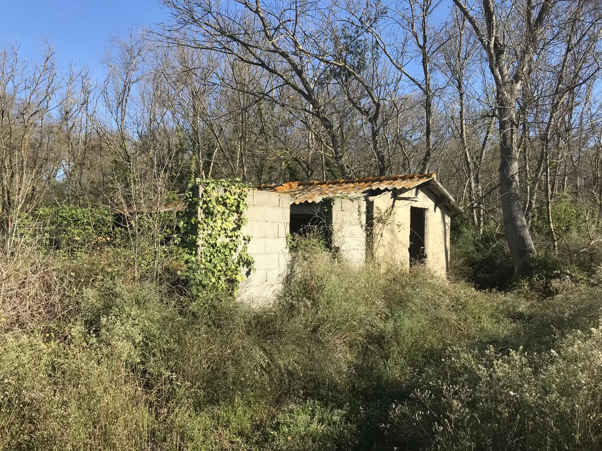 Achat terrain de loisir à Mauguio avec mazette près de l'étang de l'Or 