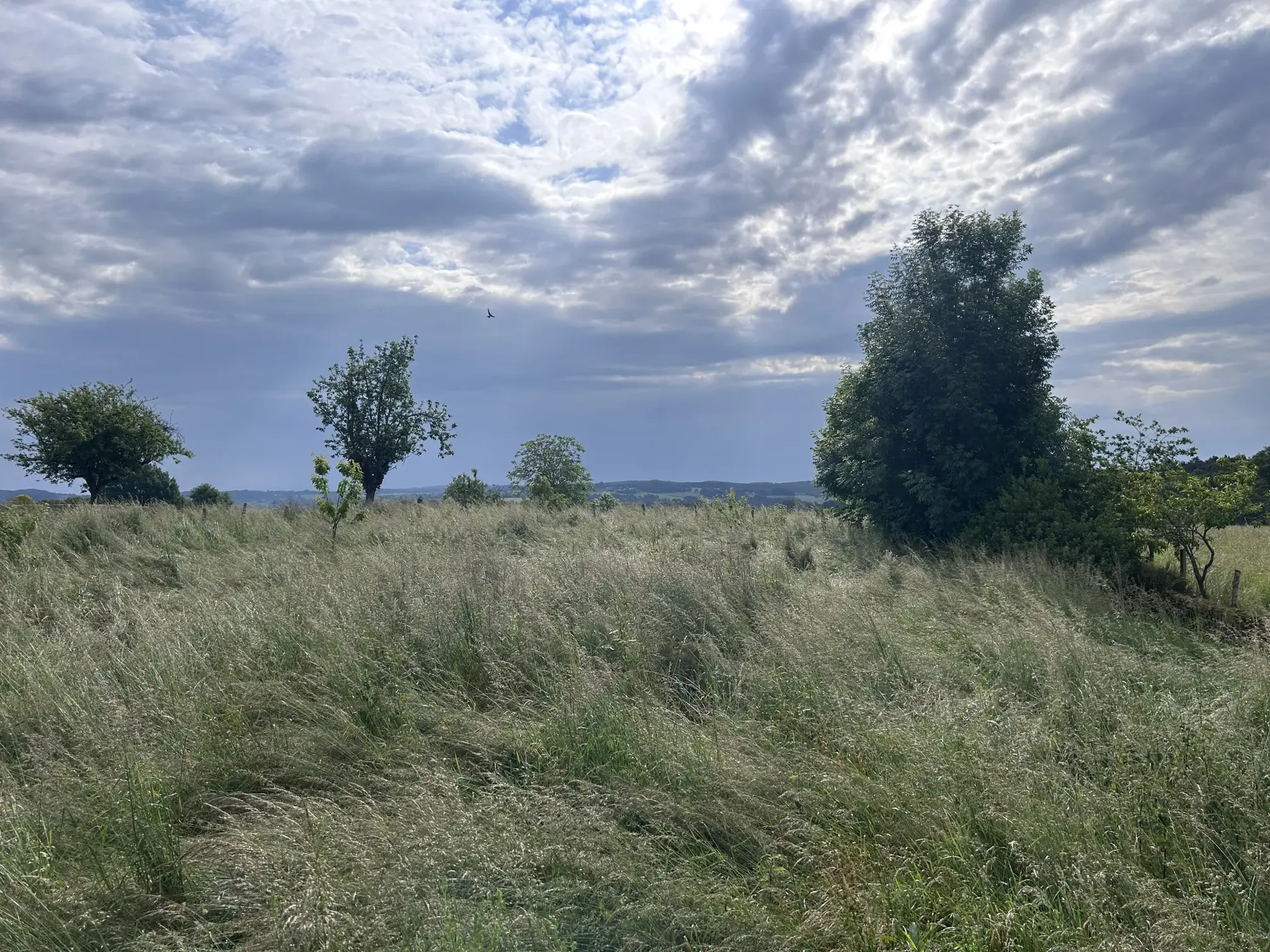 Charmante maison en pierre à Goulles avec dépendances et jardin à rénover 