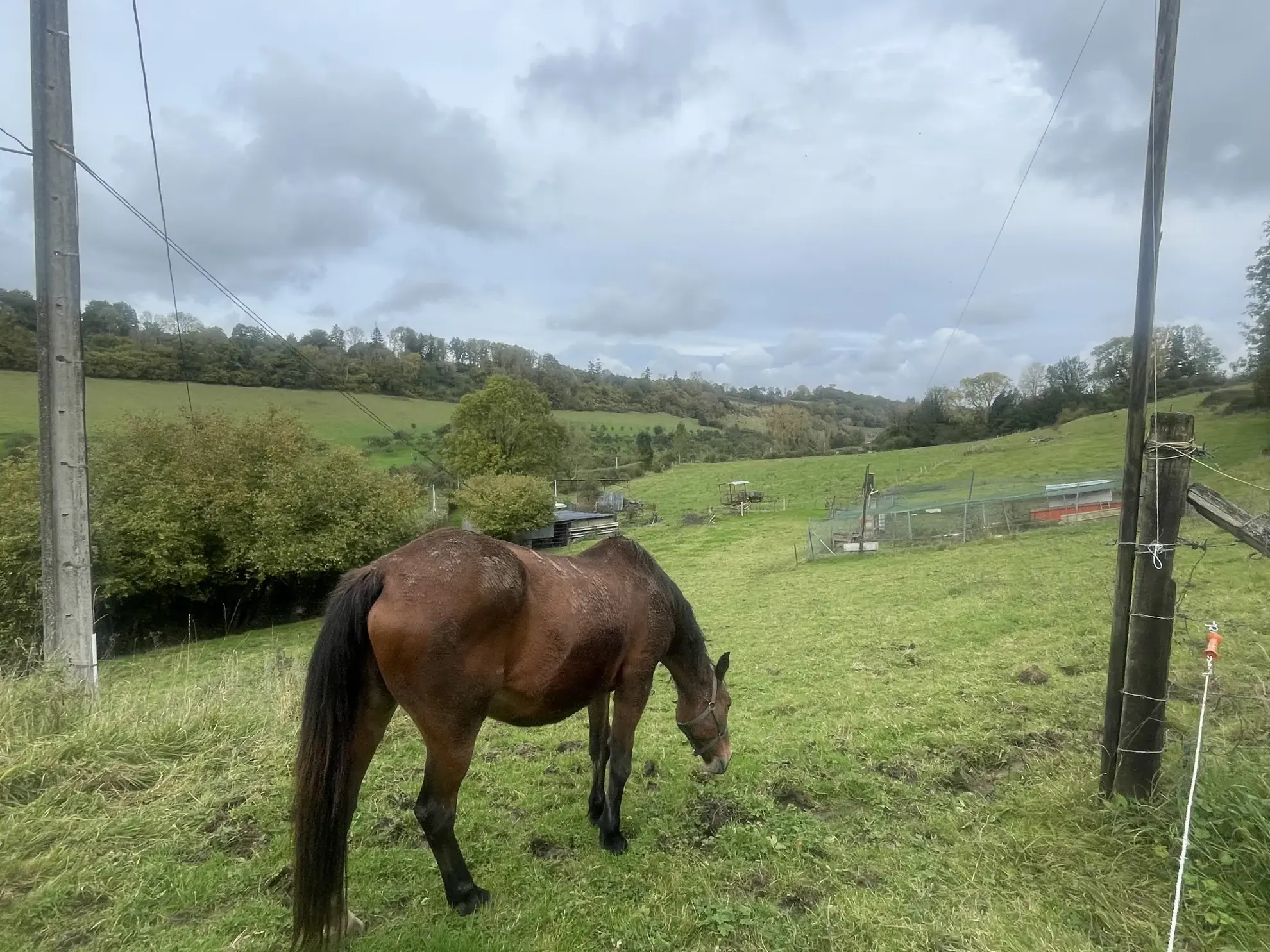 Belle propriété de 107 m² avec grand terrain à Vimoutiers - Authenticité et confort 