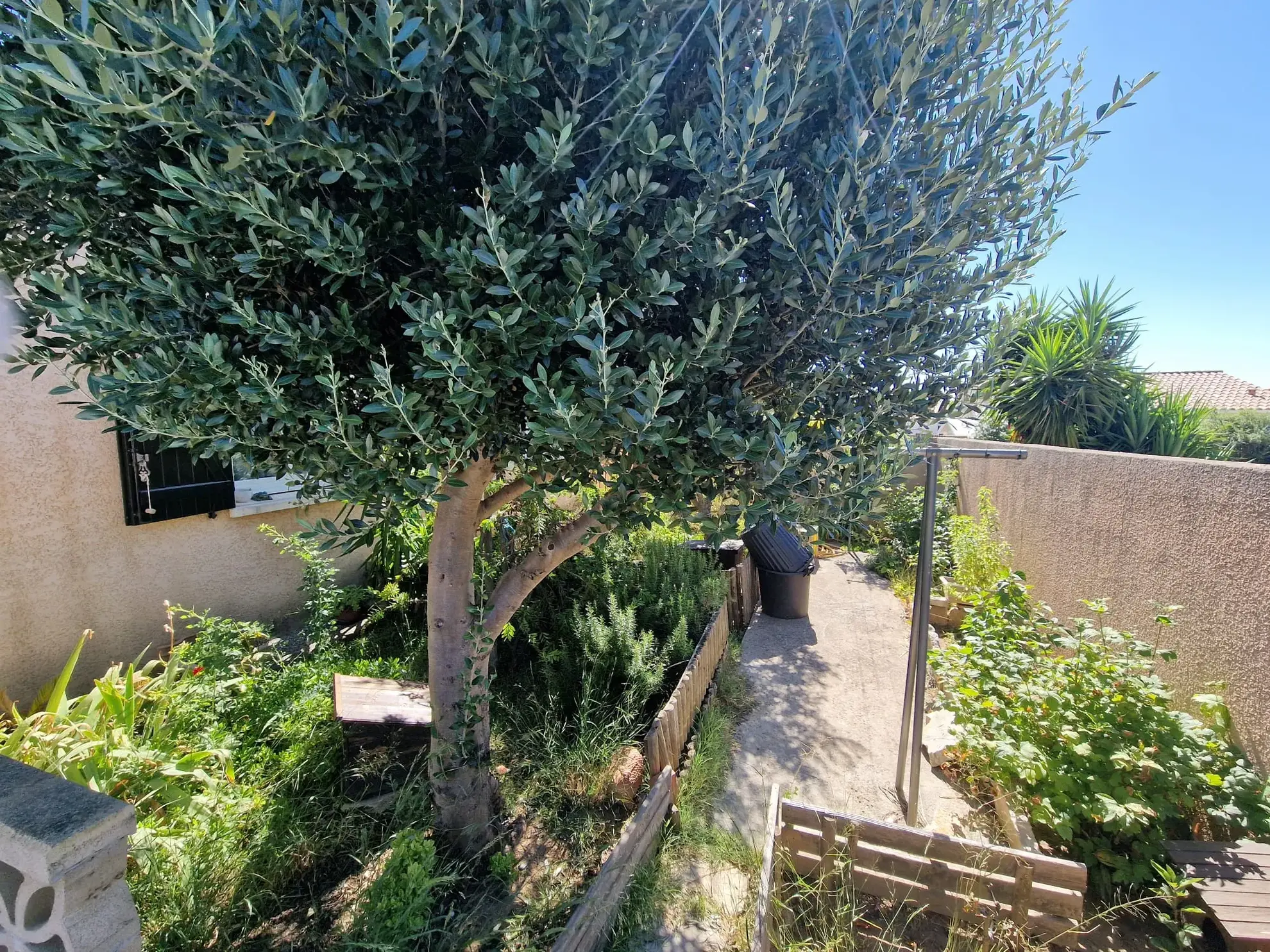 Maison spacieuse avec studio, piscine et grand terrain à Lézignan-Corbières 