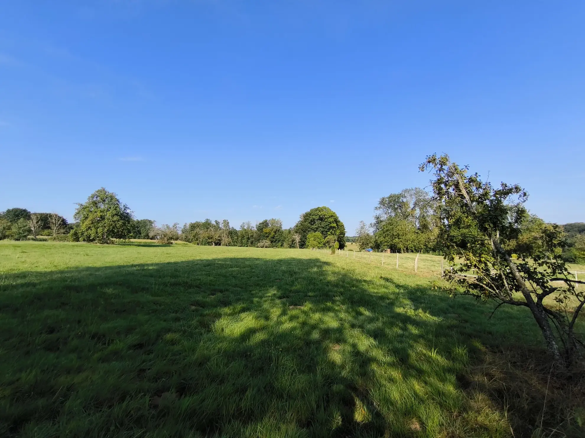 Maison à rénover à Willer avec grand terrain et dépendance de 140 m² 