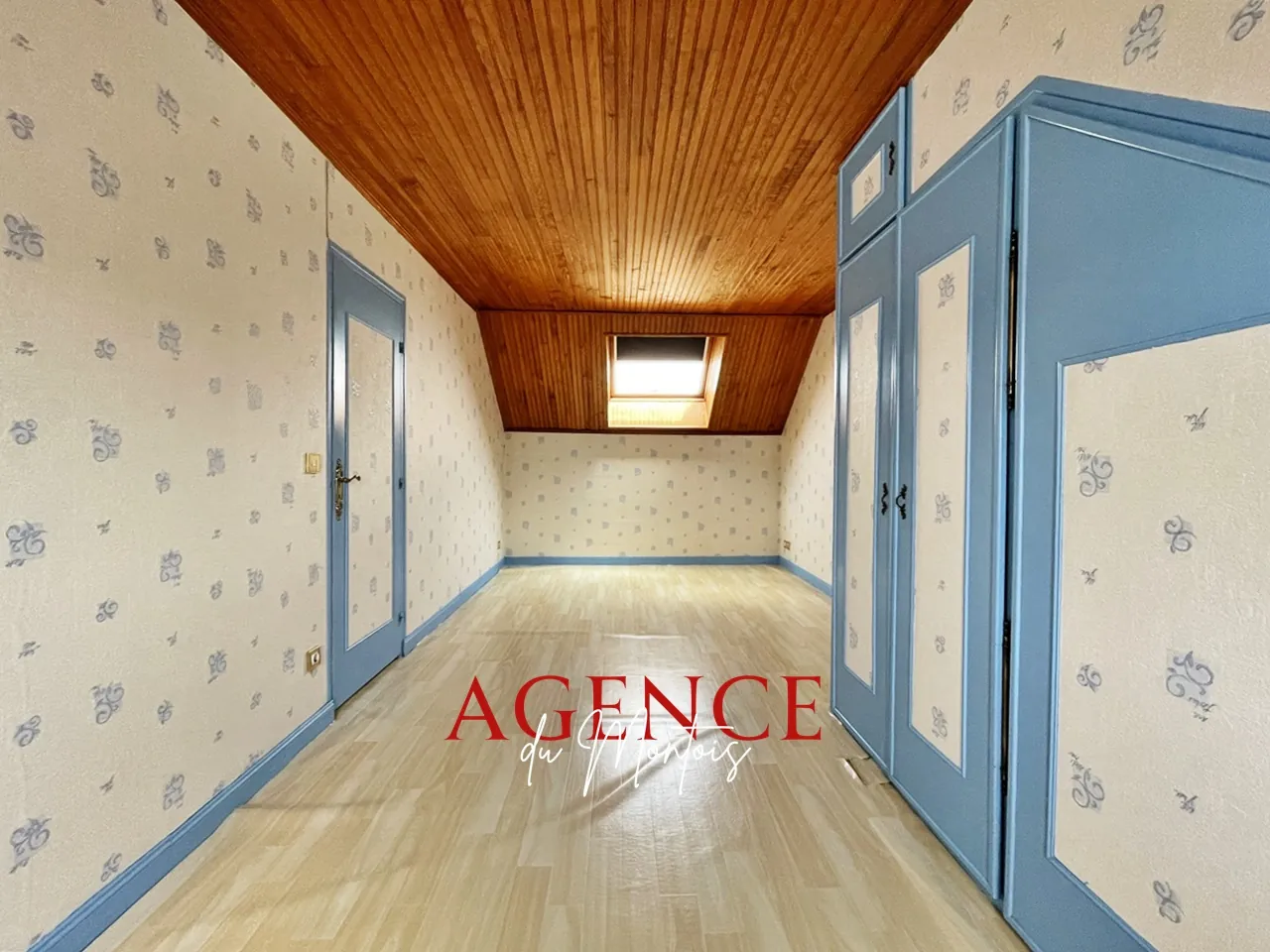 Maison traditionnelle à Bray-sur-Seine avec jardin clos et garage, 2 chambres 