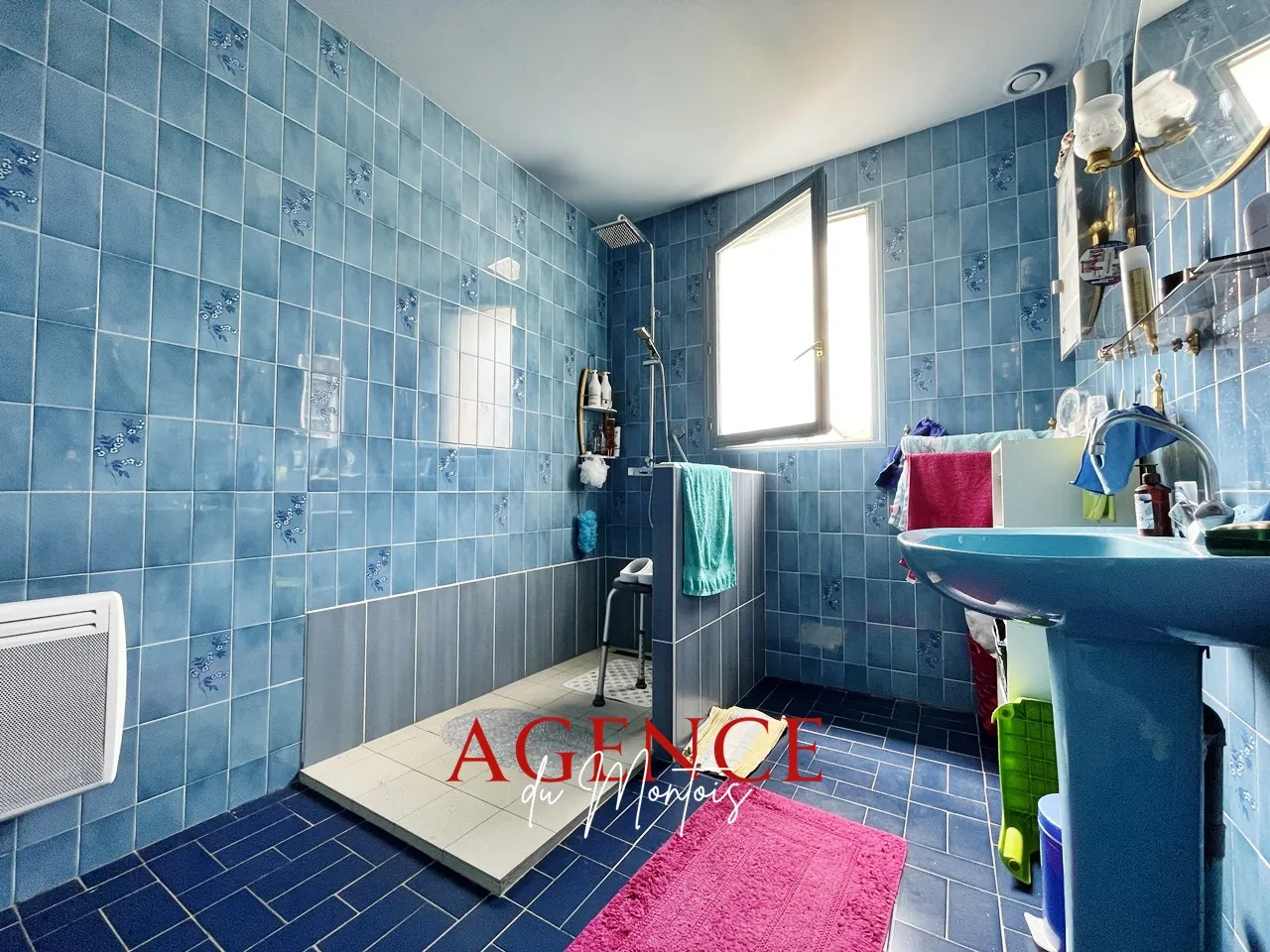 Maison traditionnelle à Bray-sur-Seine avec jardin clos et garage, 2 chambres 