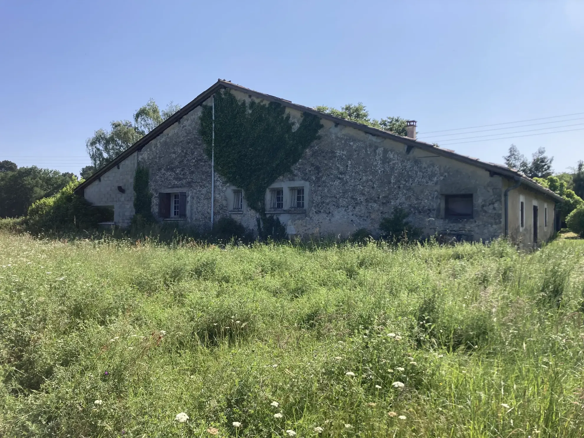 Charmante maison en pierre avec grand terrain proche de Bazas 