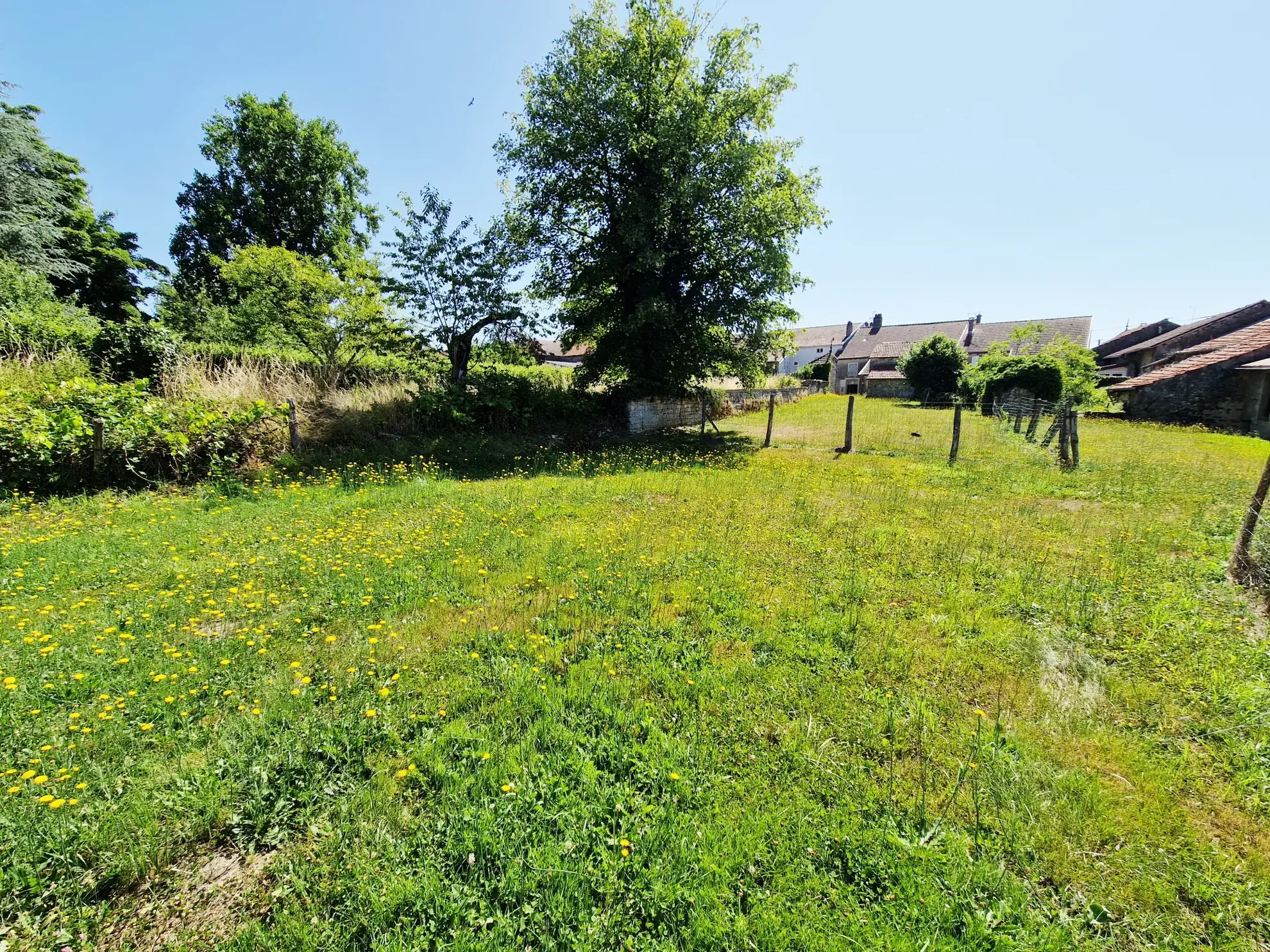 Authentique maison du 18ème siècle avec jardin et charme historique dans le Grand Est 