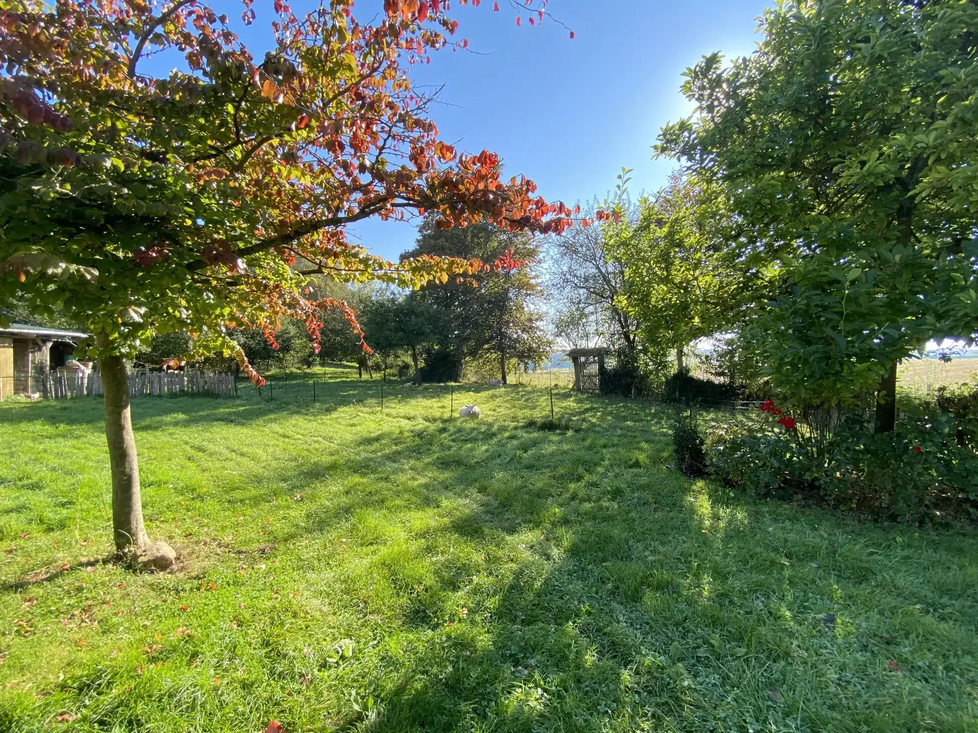 Charmante maison de campagne avec habitation secondaire et grand terrain à Huppy 